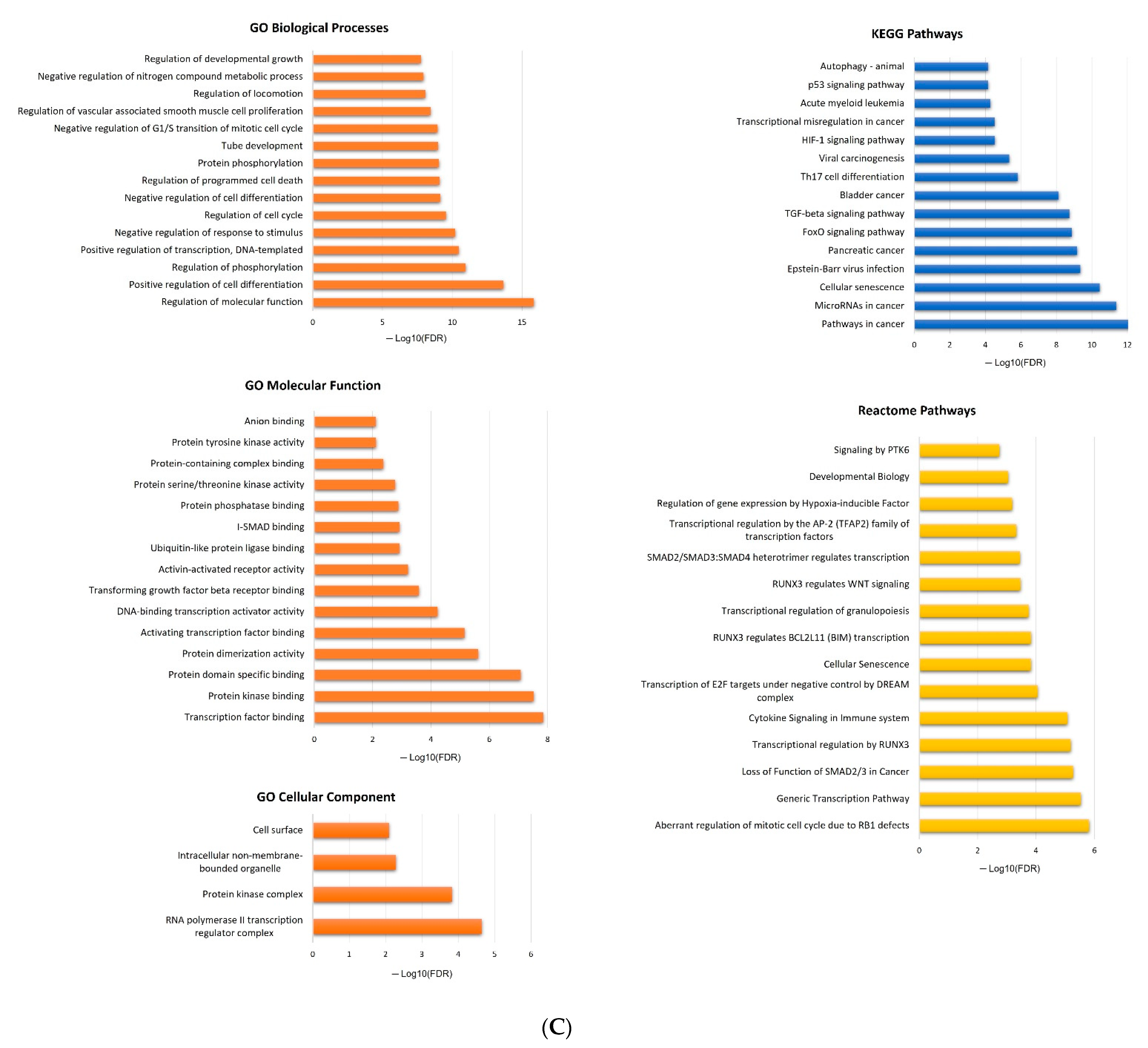 Ijms 24 09101 g005c Ijms 24 09101 g005c