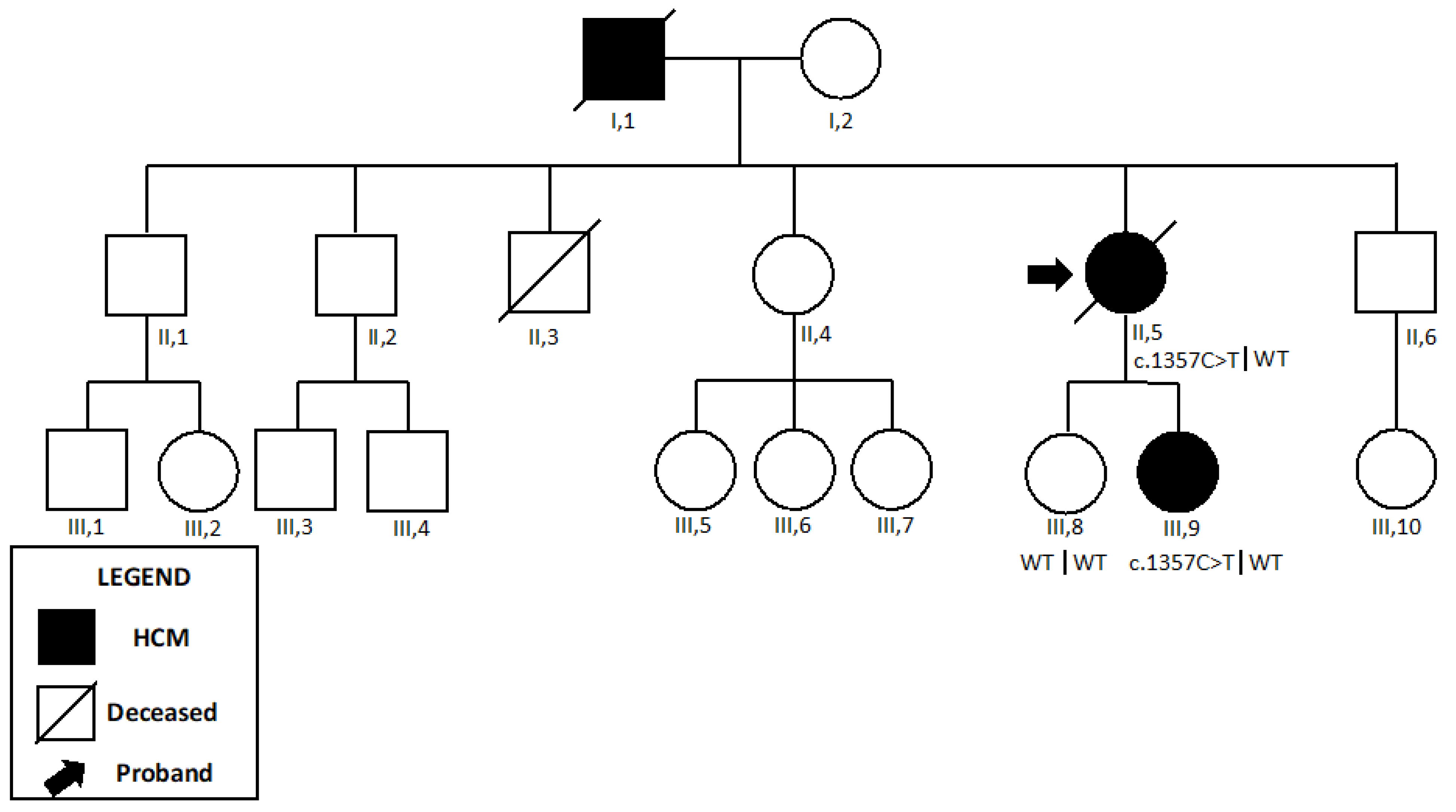 Ijms 24 09108 g006
