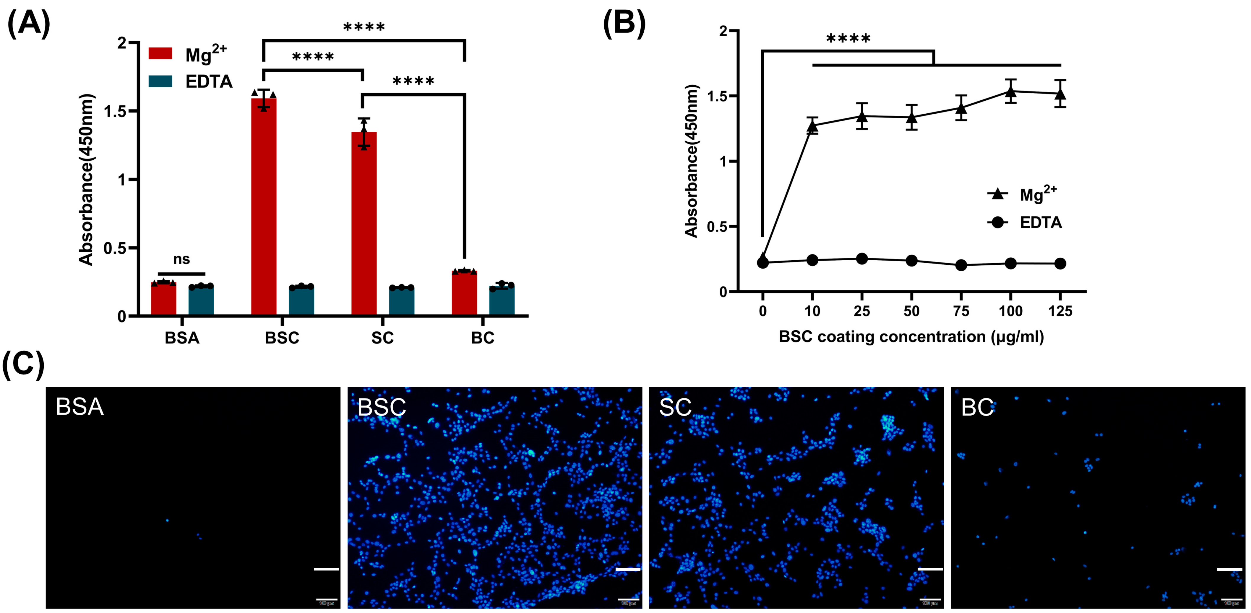 Ijms 24 09110 g003 Ijms 24 09110 g003