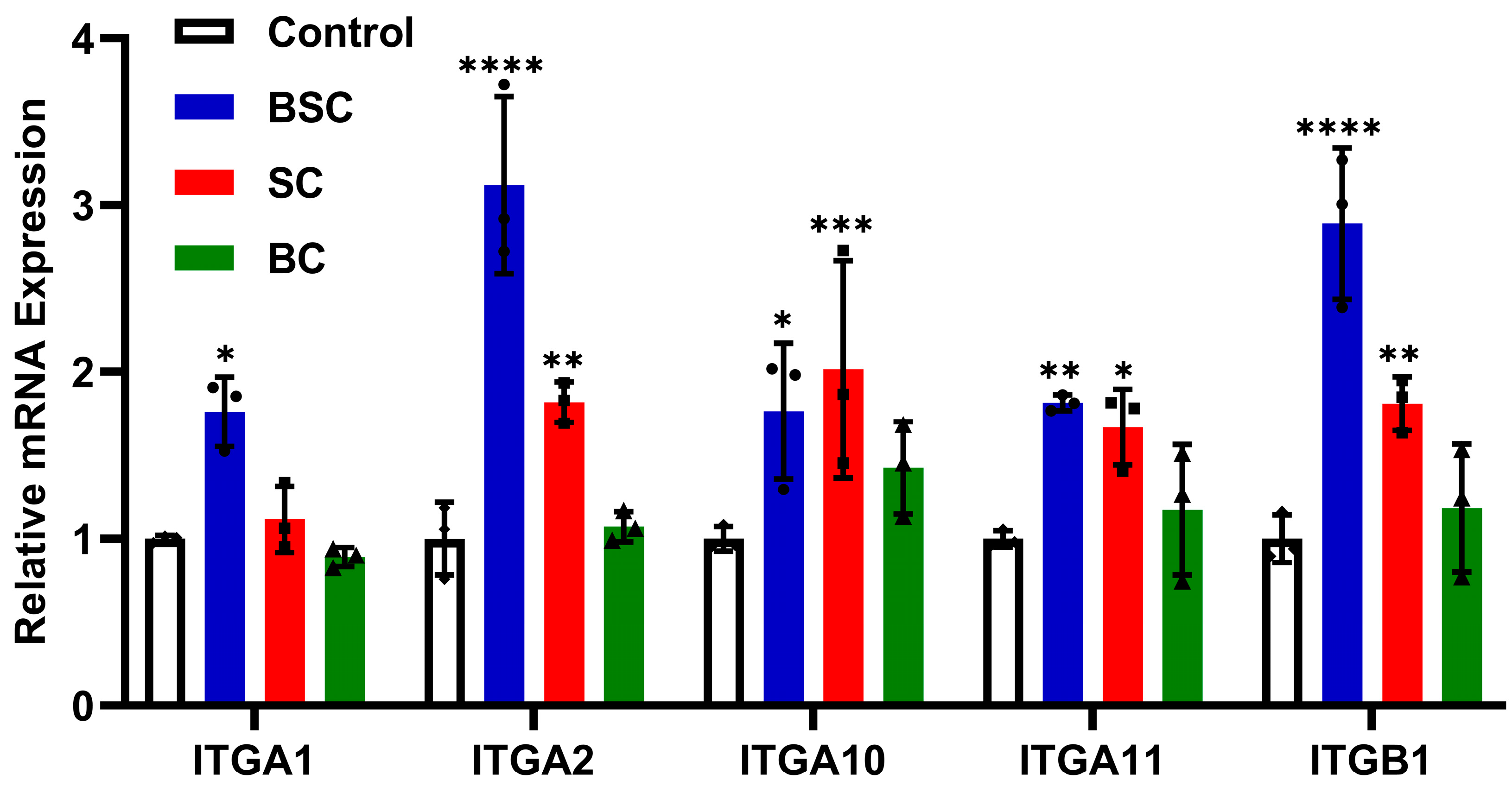 Ijms 24 09110 g006 Ijms 24 09110 g006