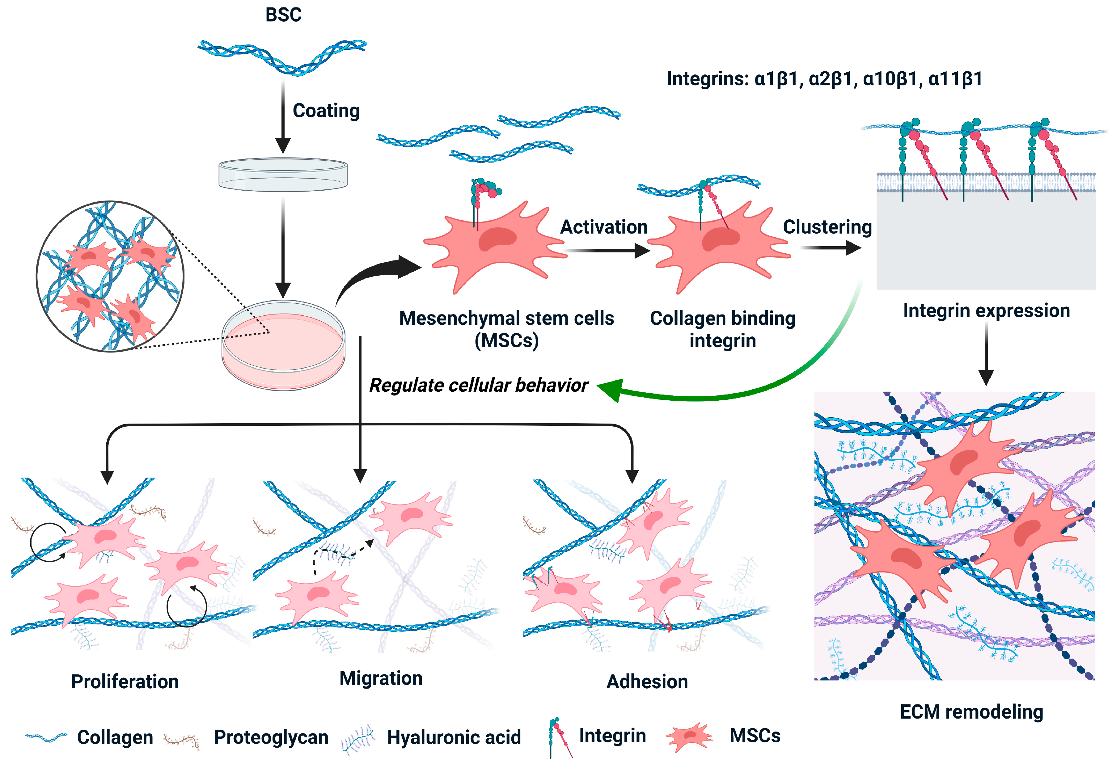 Ijms 24 09110 g008 Ijms 24 09110 g008