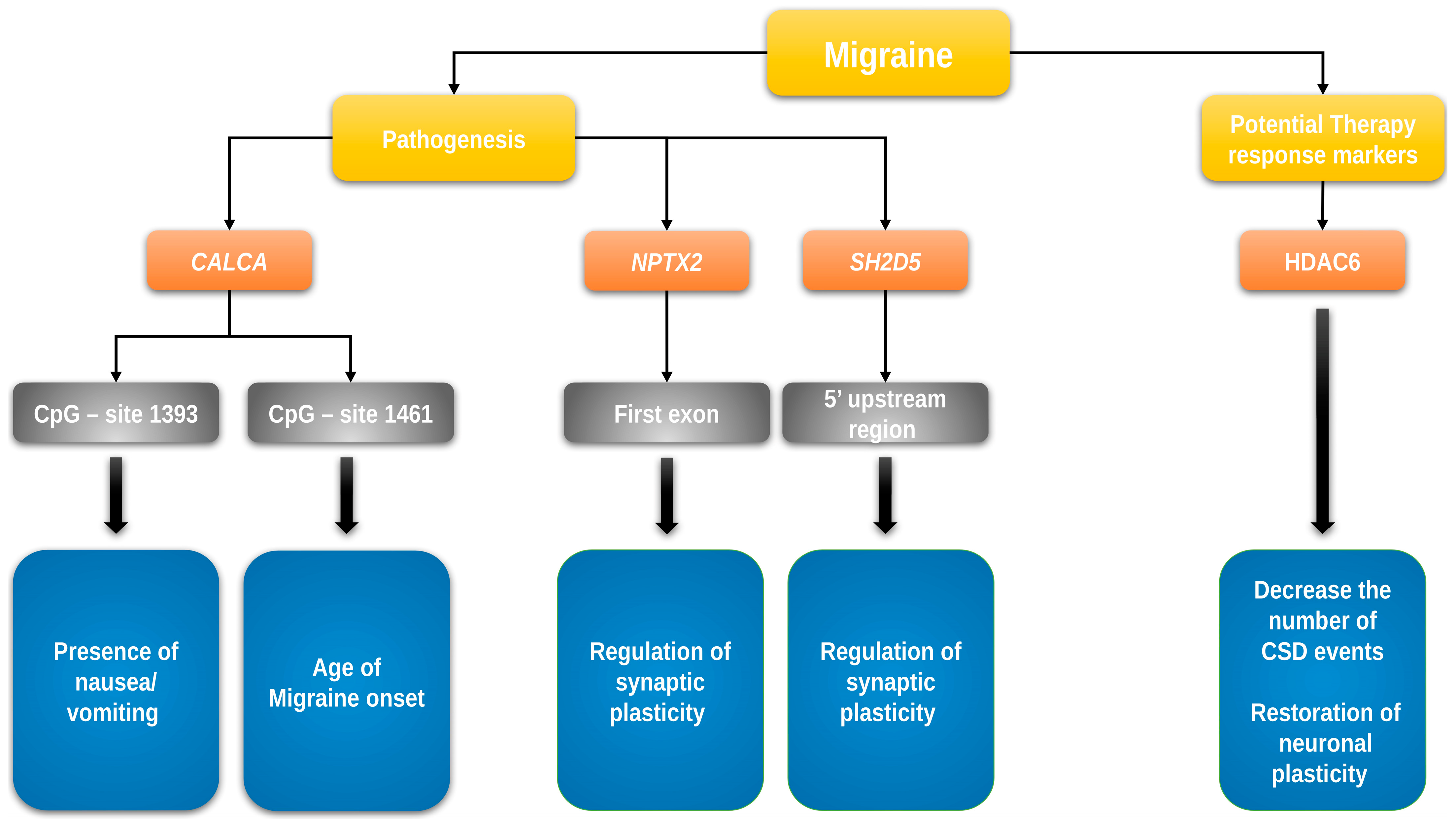 Ijms 24 09127 g001 Ijms 24 09127 g001
