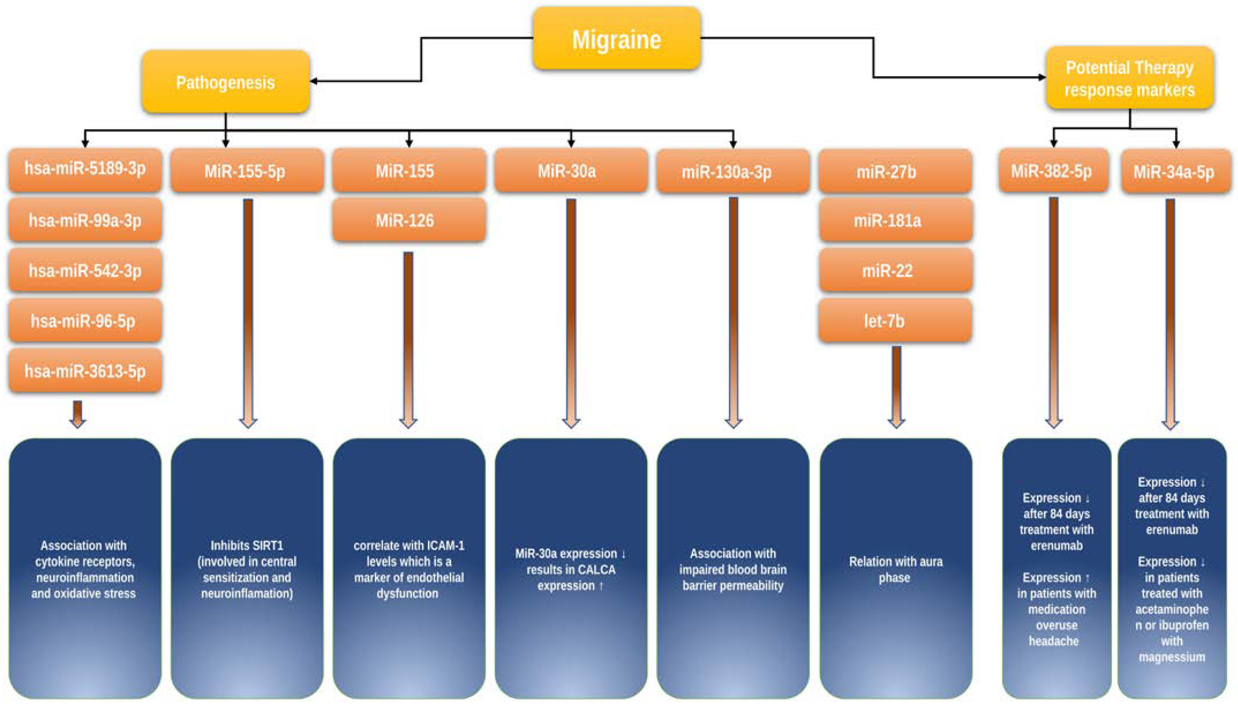 Ijms 24 09127 g002 Ijms 24 09127 g002