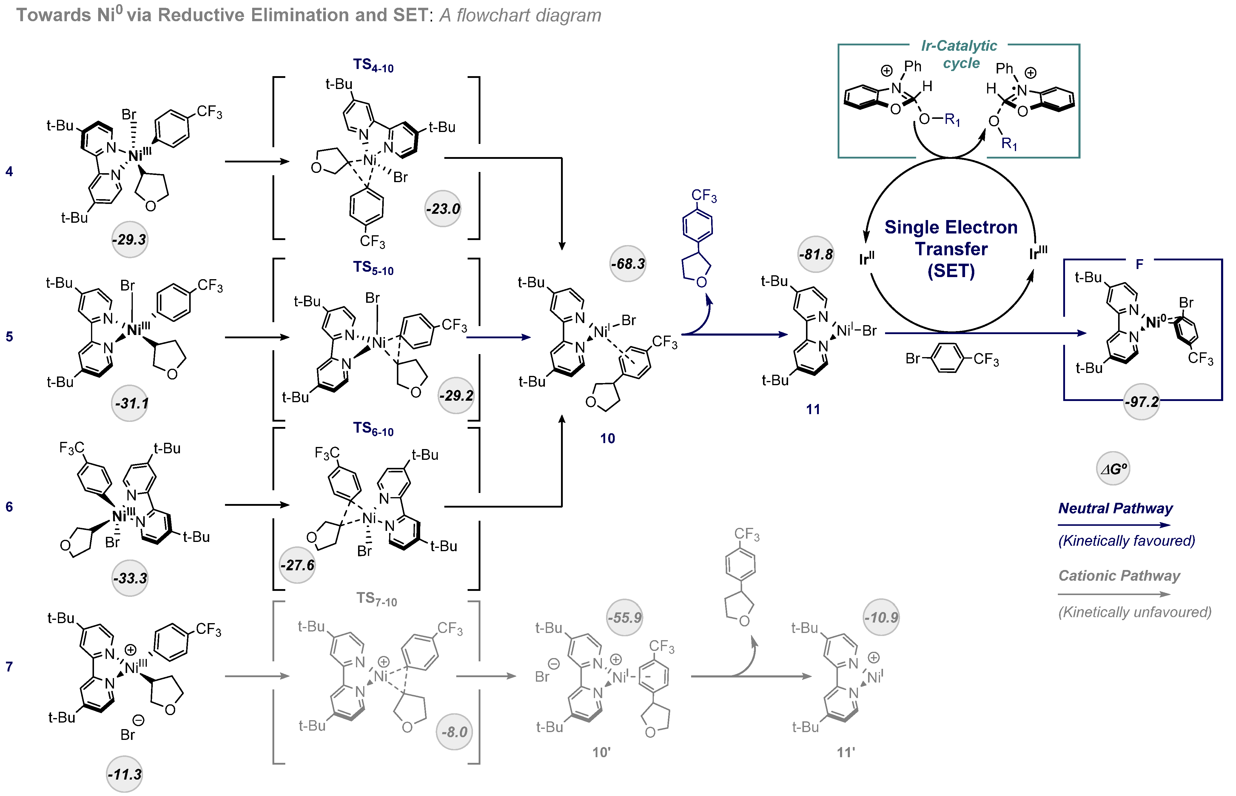 Ijms 24 09145 g004 Ijms 24 09145 g004