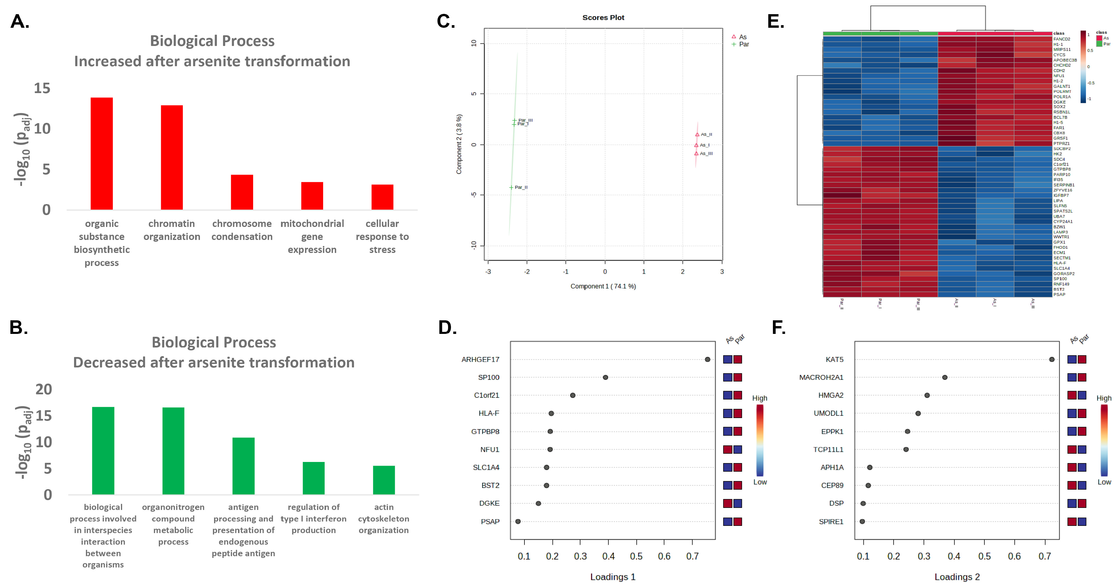 Ijms 24 09149 g001 Ijms 24 09149 g001