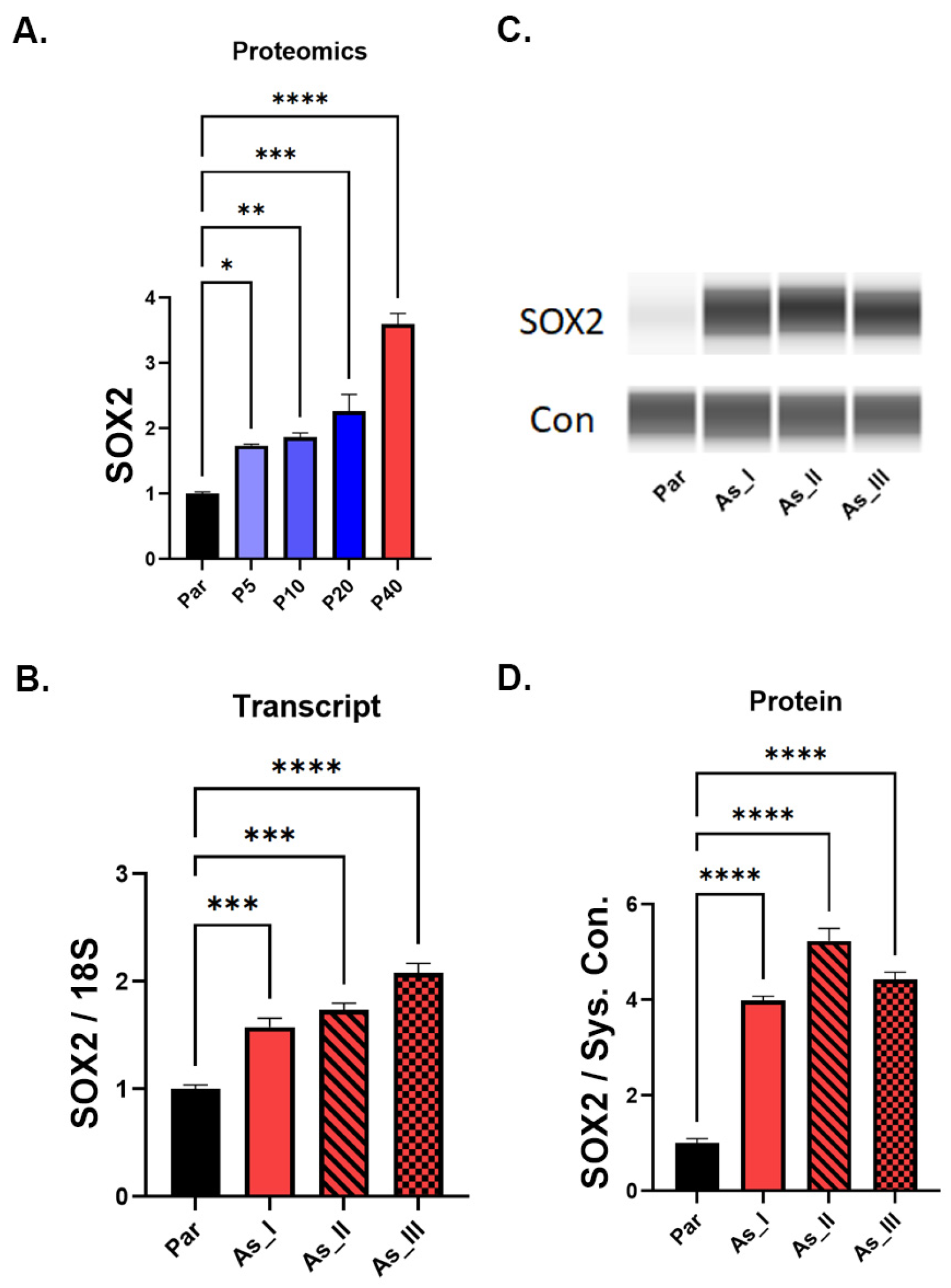 Ijms 24 09149 g002 Ijms 24 09149 g002