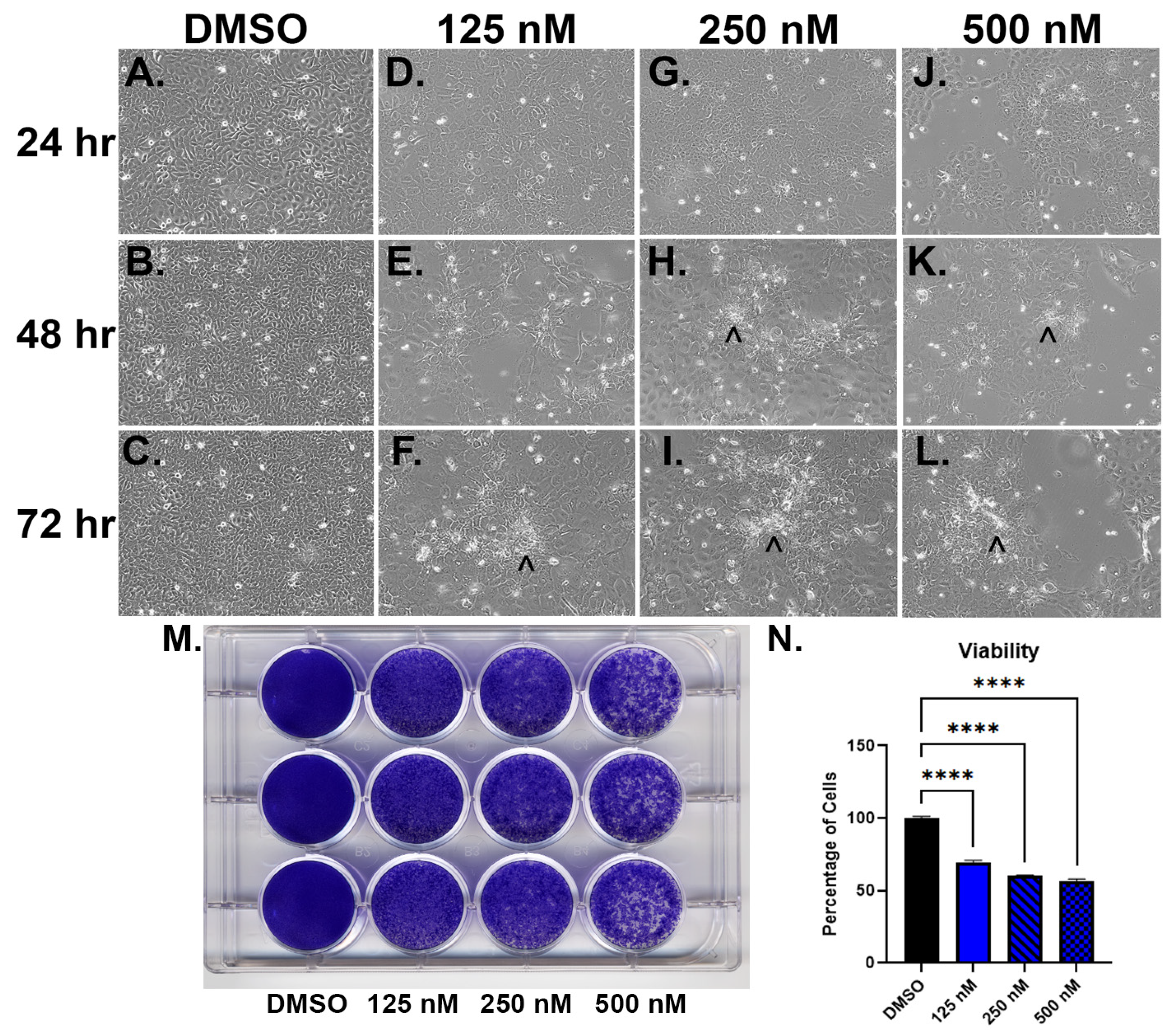Ijms 24 09149 g003 Ijms 24 09149 g003