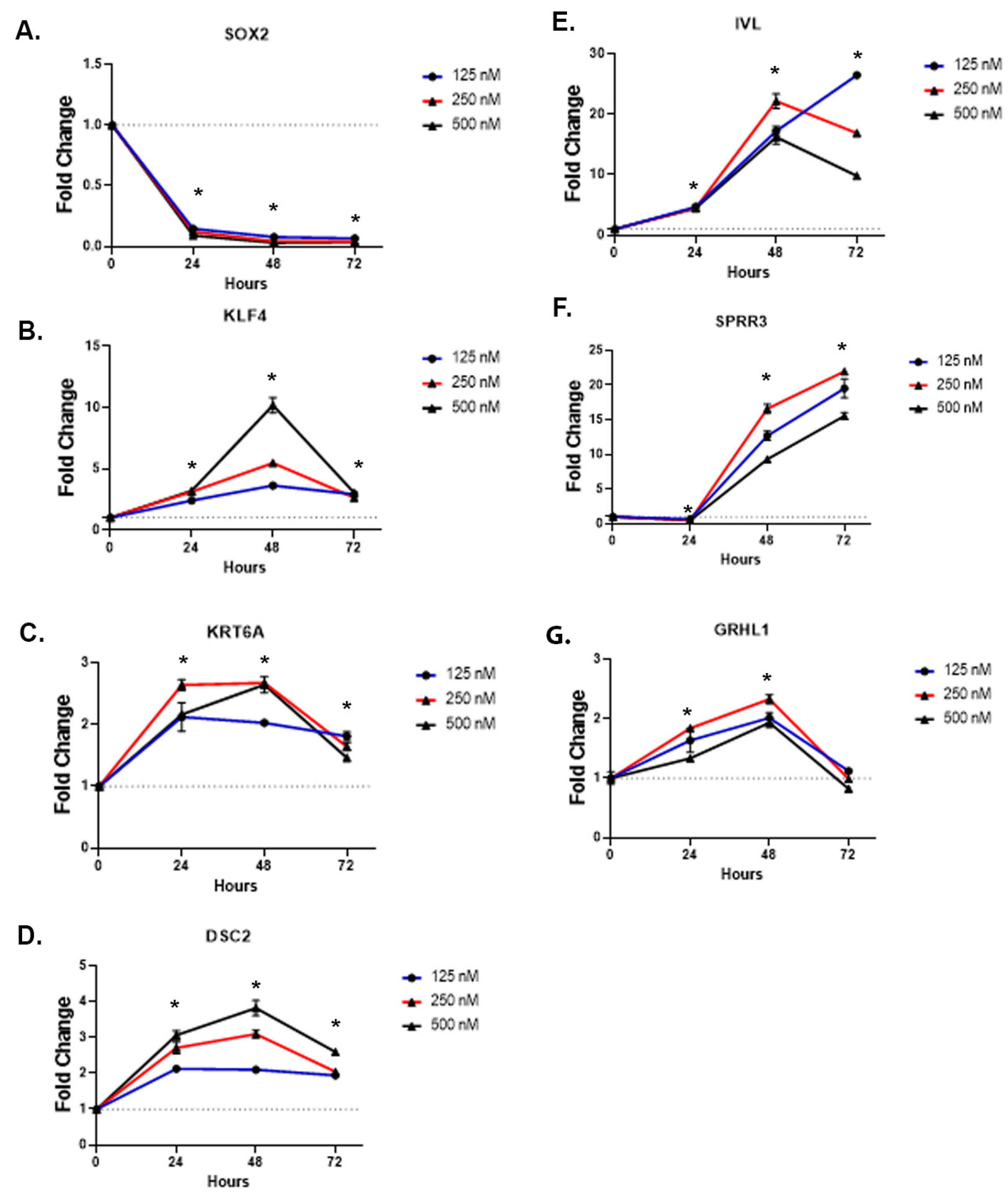 Ijms 24 09149 g004 Ijms 24 09149 g004