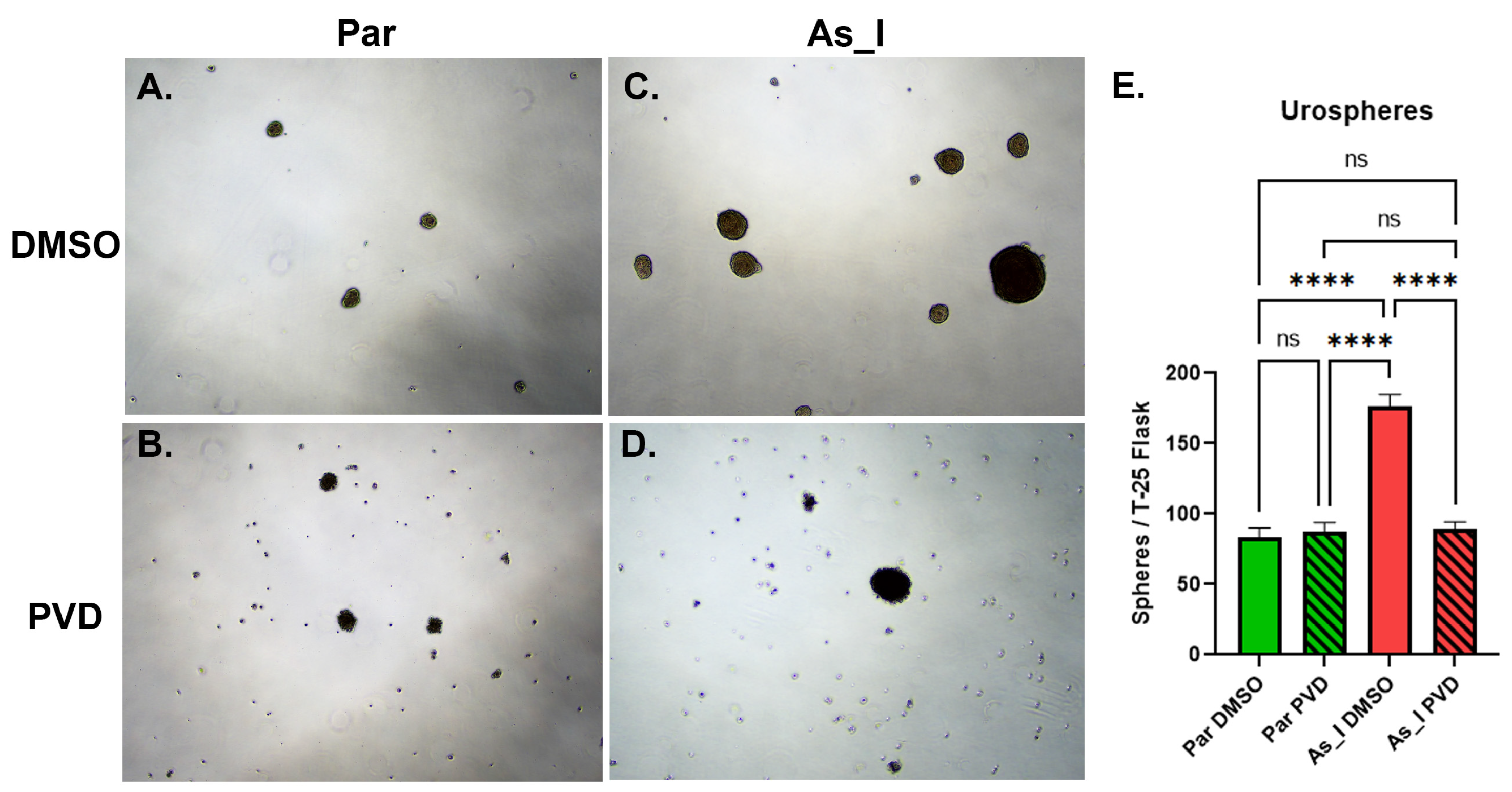 Ijms 24 09149 g005 Ijms 24 09149 g005