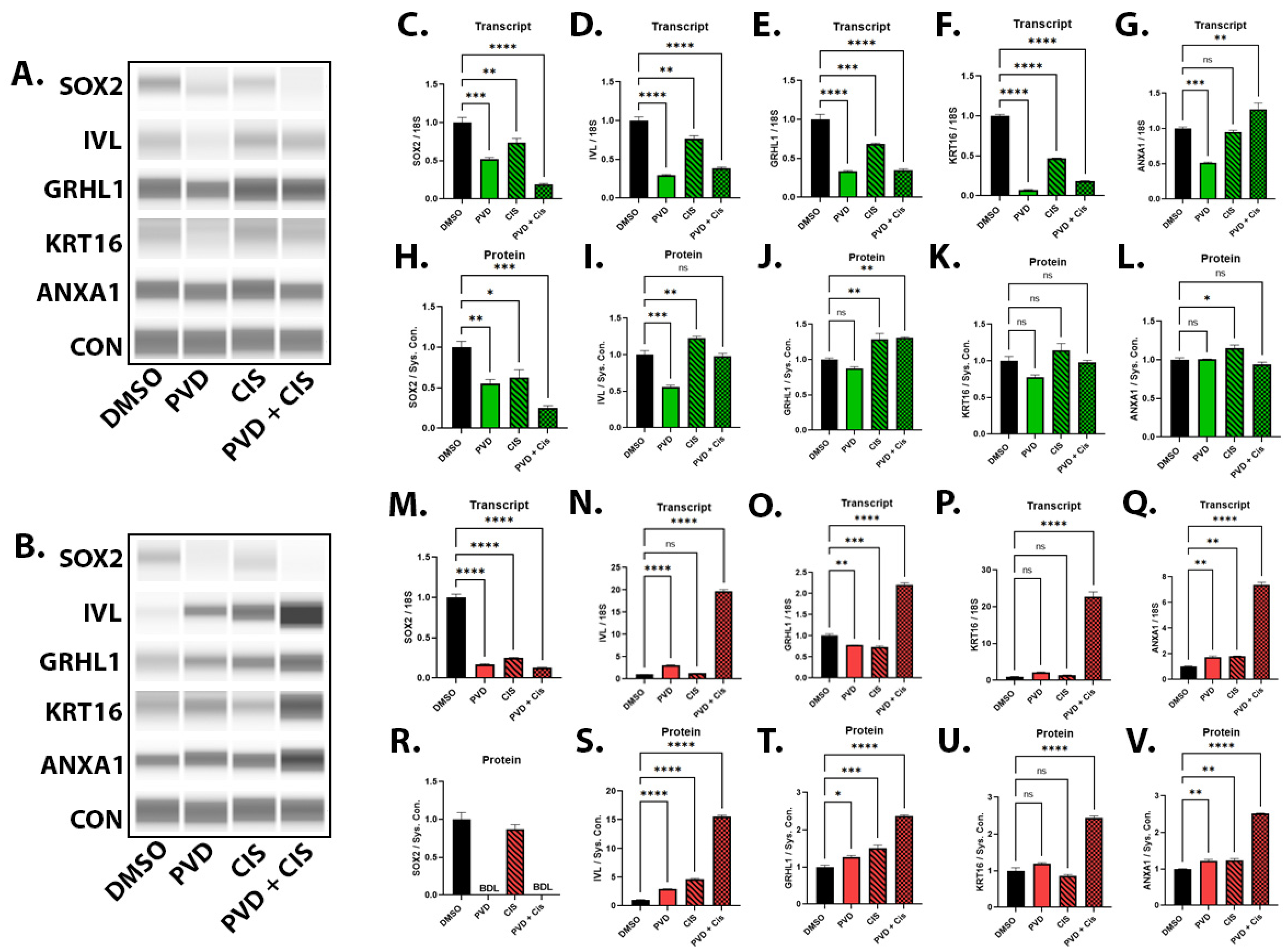 Ijms 24 09149 g008 Ijms 24 09149 g008