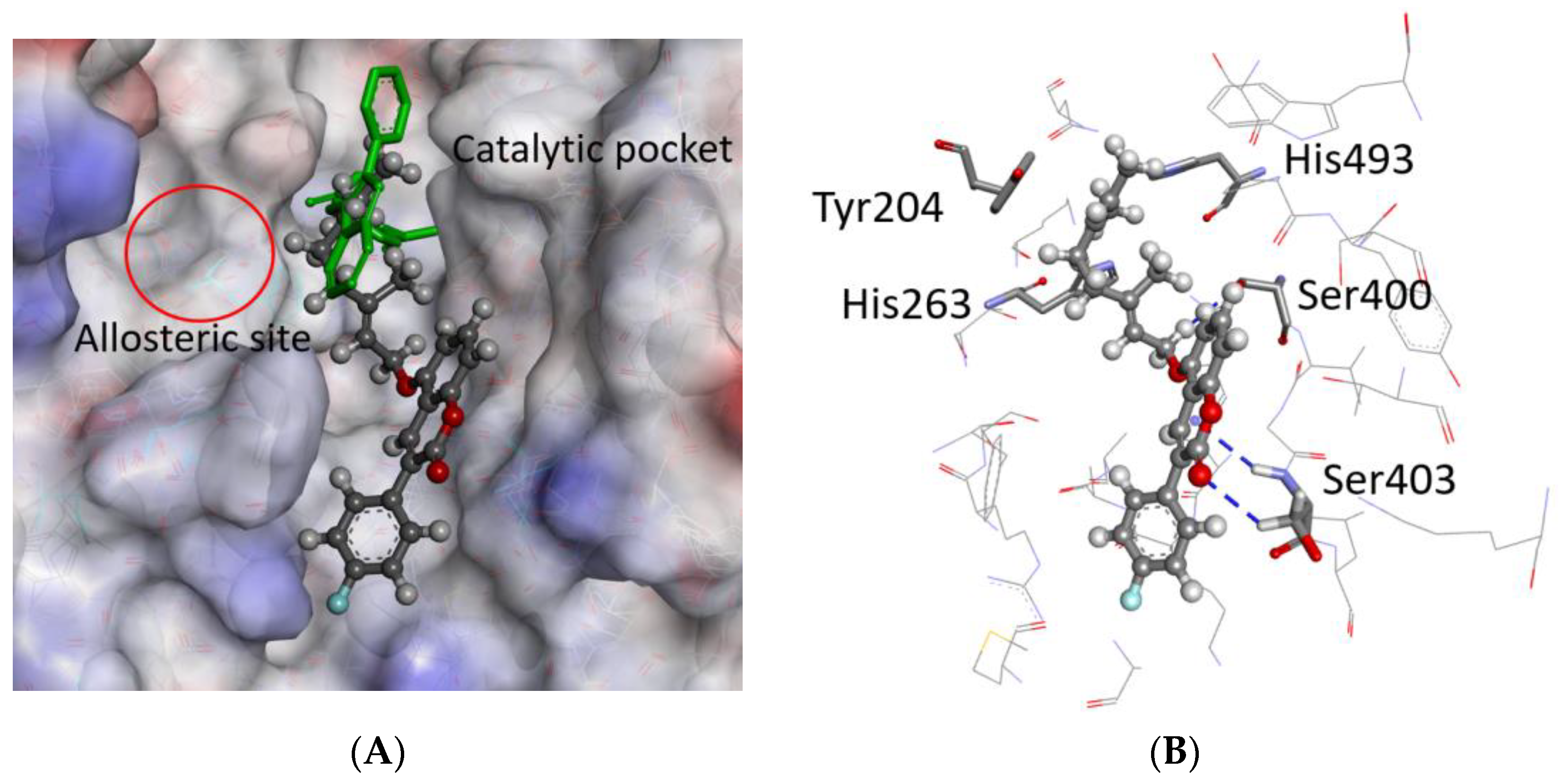 Ijms 24 09155 g004 Ijms 24 09155 g004