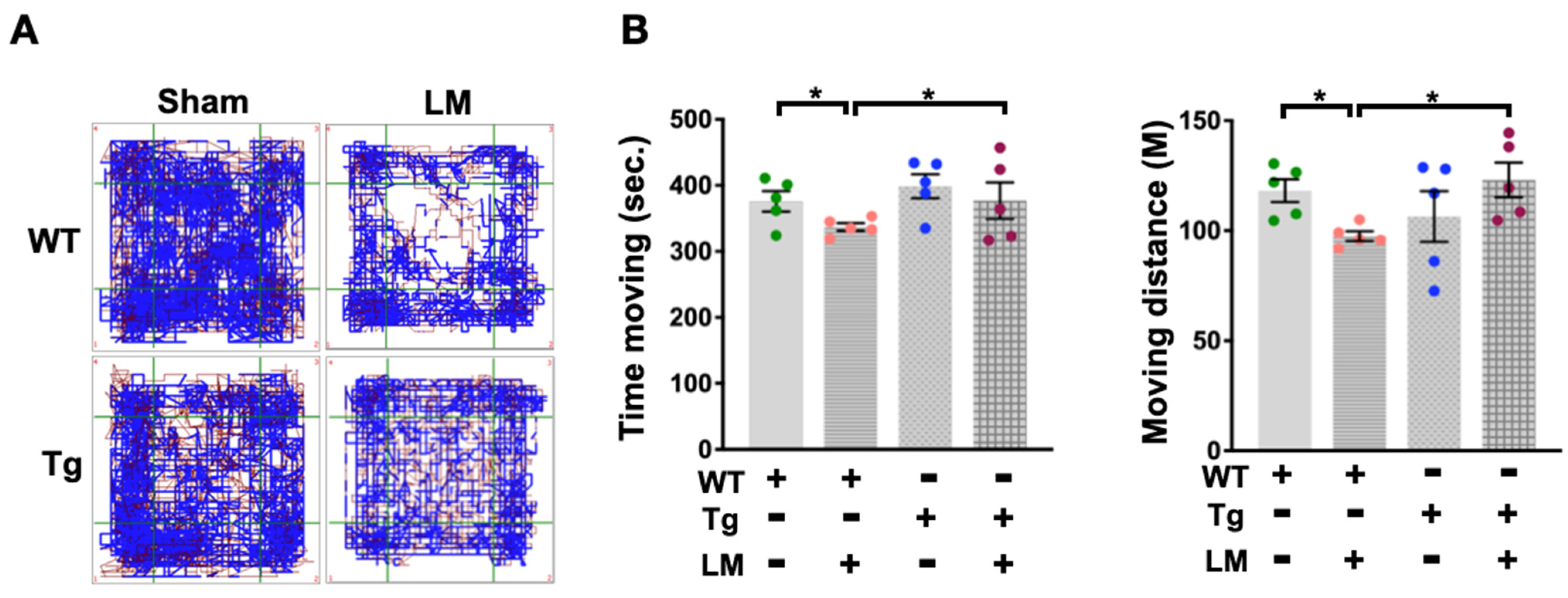 Ijms 24 09158 g002 Ijms 24 09158 g002