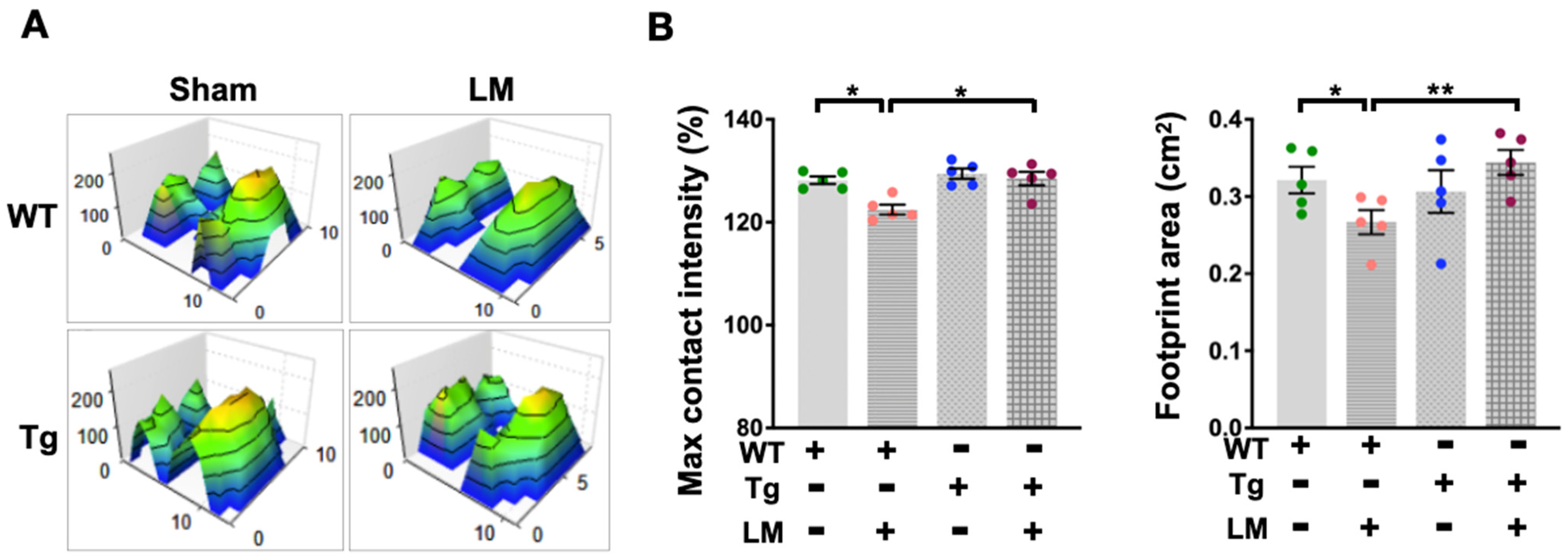 Ijms 24 09158 g003 Ijms 24 09158 g003