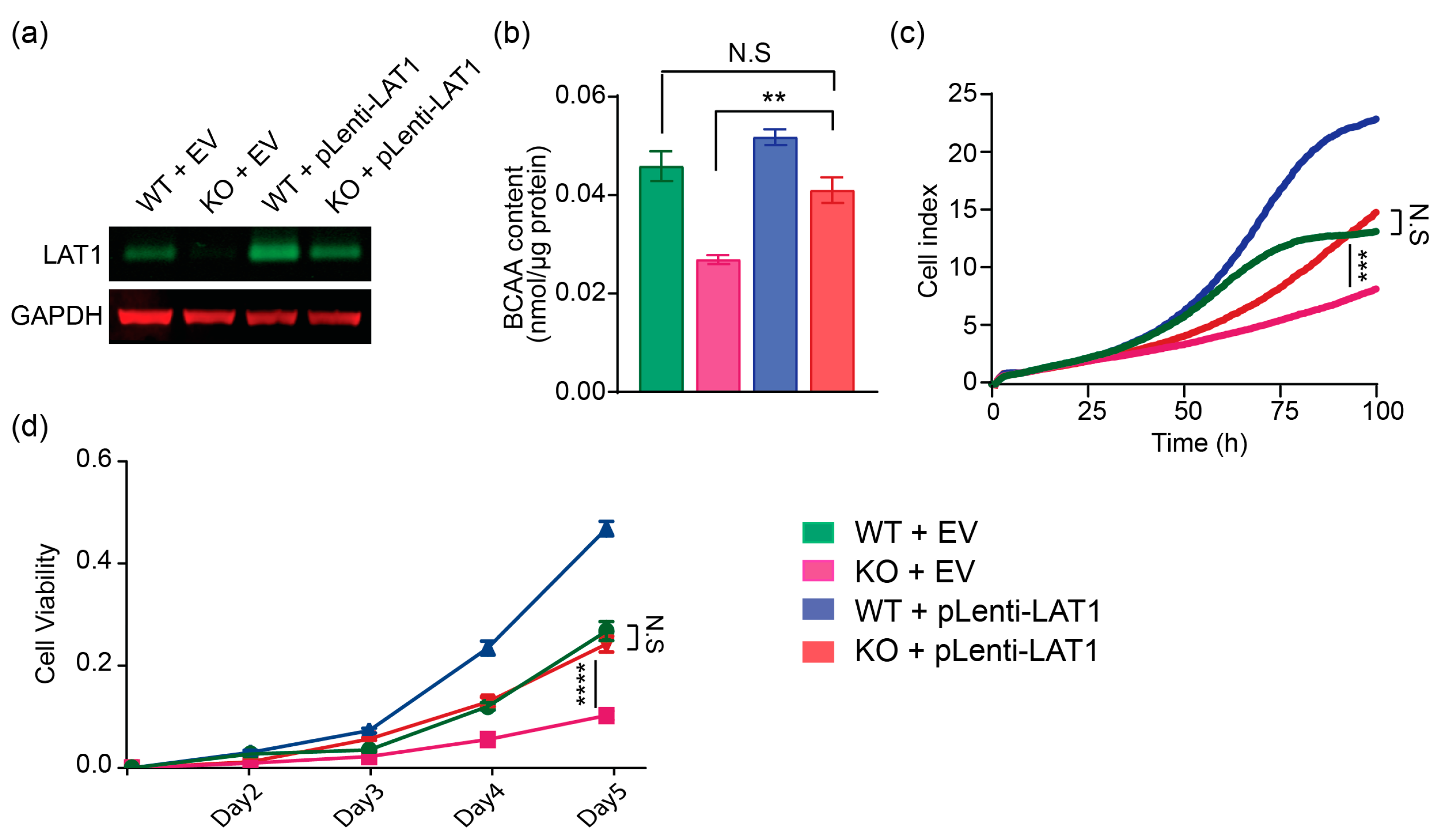 Ijms 24 09171 g003 Ijms 24 09171 g003