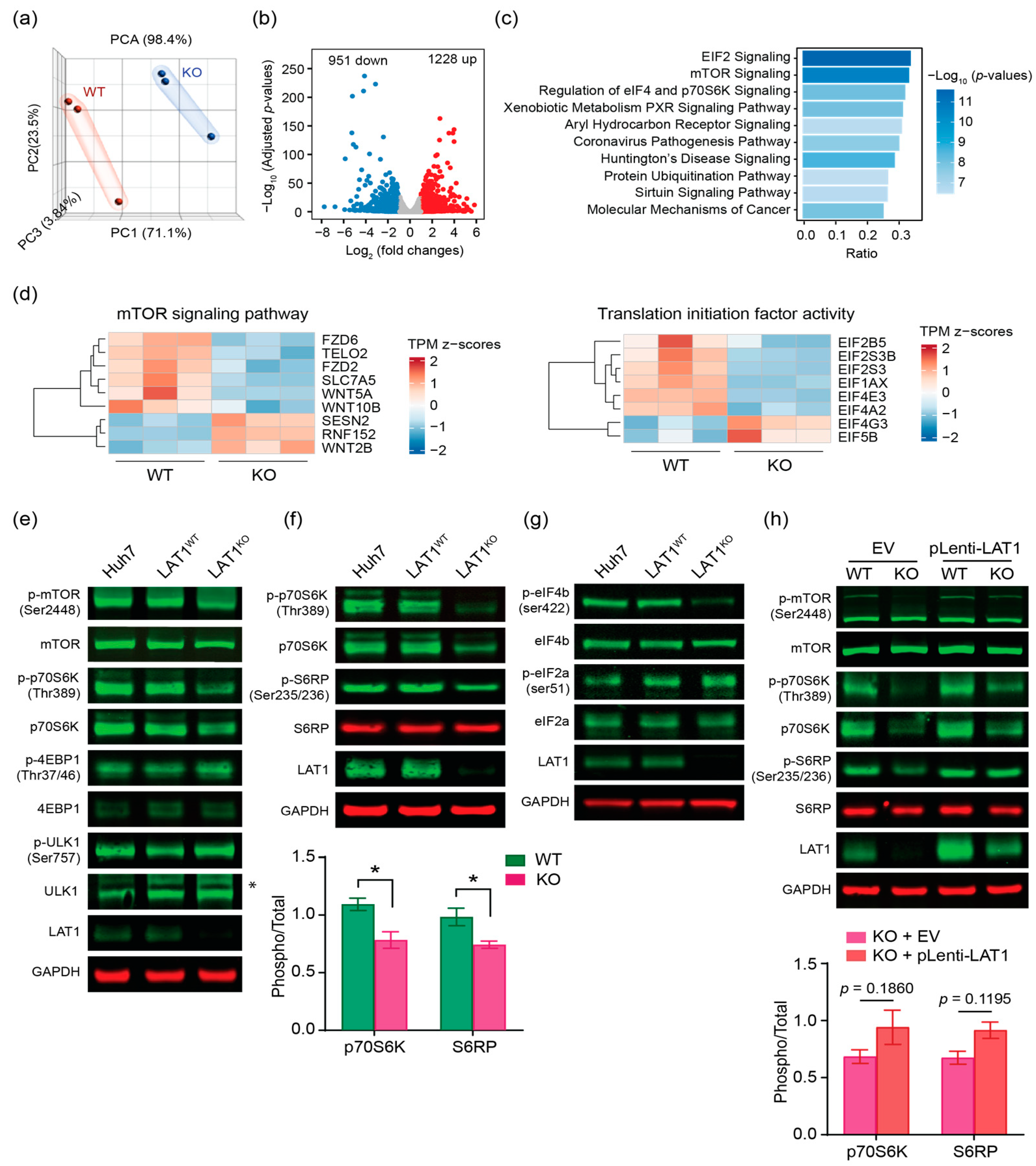 Ijms 24 09171 g004 Ijms 24 09171 g004