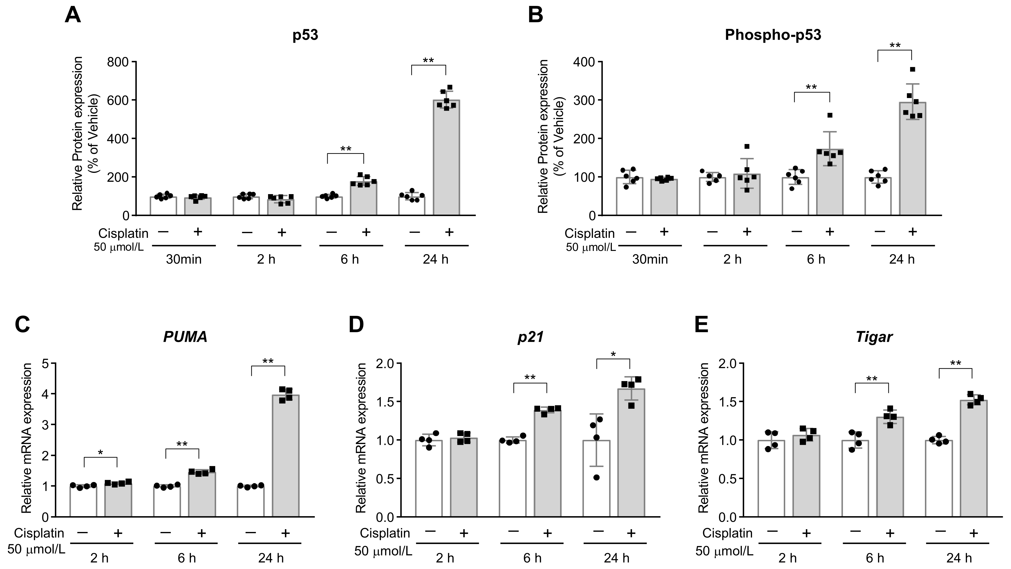 Ijms 24 09176 g001 Ijms 24 09176 g001