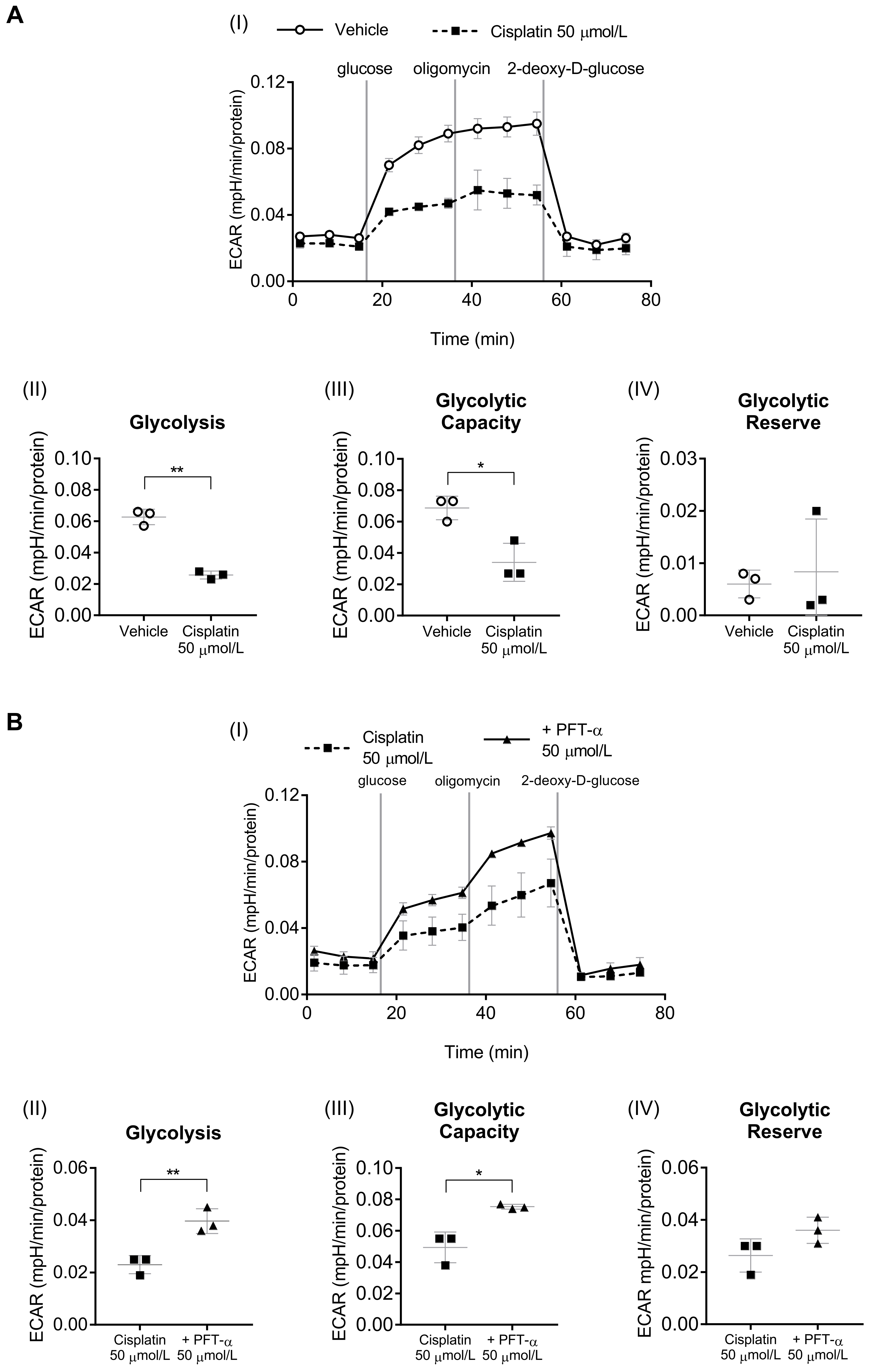 Ijms 24 09176 g005 Ijms 24 09176 g005