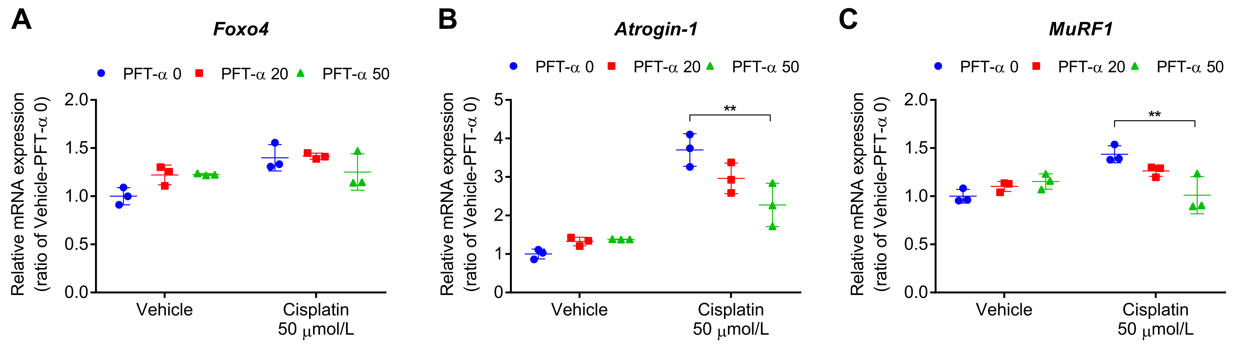 Ijms 24 09176 g006 Ijms 24 09176 g006
