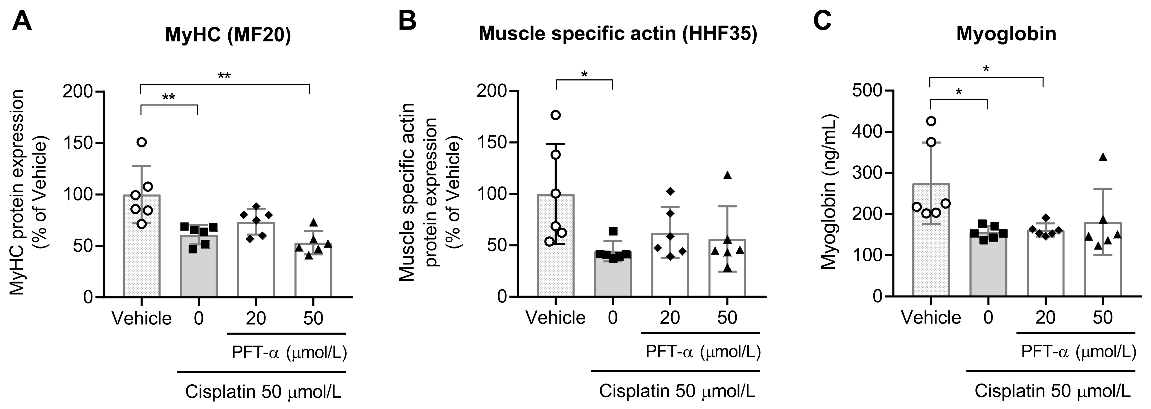 Ijms 24 09176 g007 Ijms 24 09176 g007