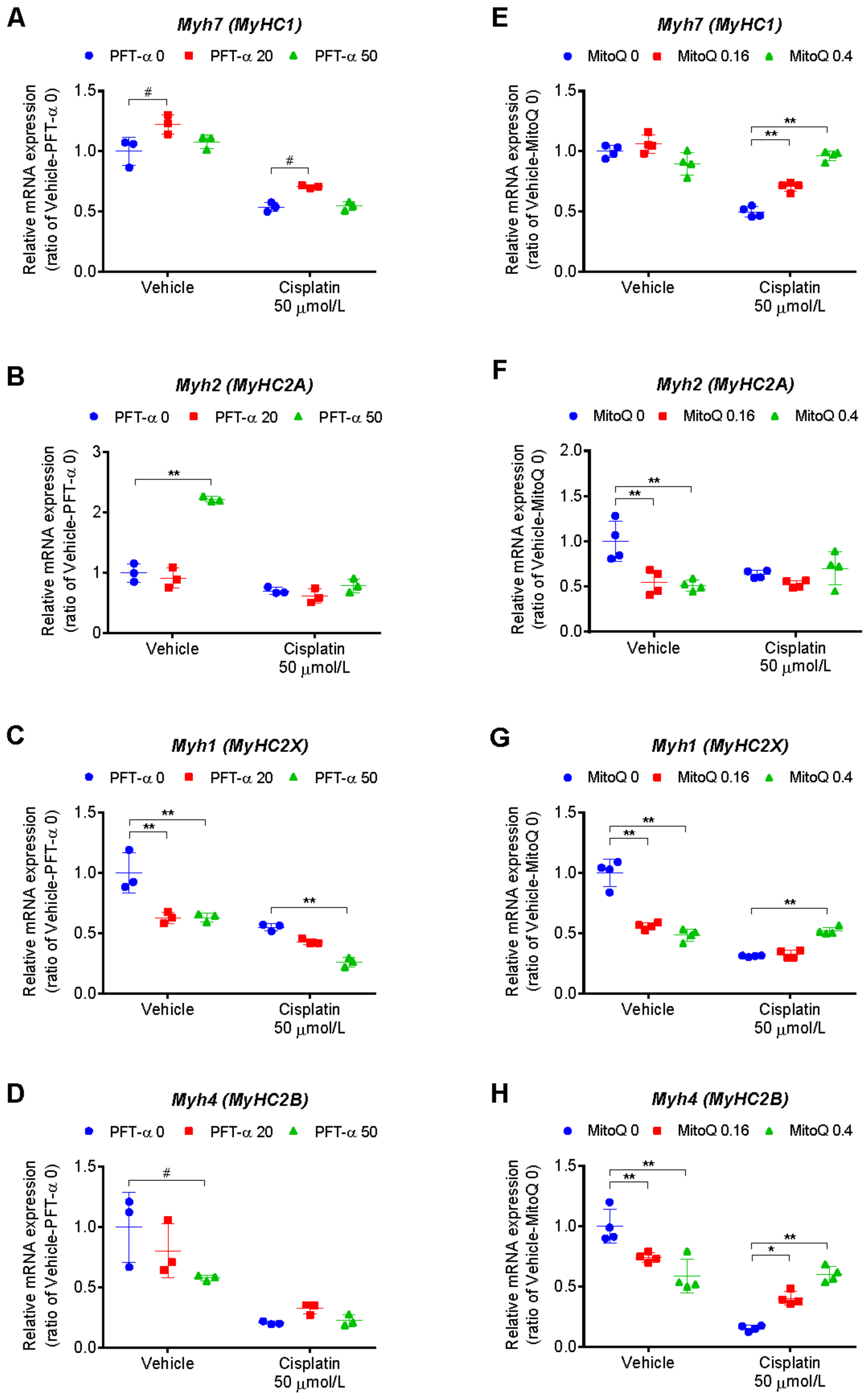 Ijms 24 09176 g008 Ijms 24 09176 g008