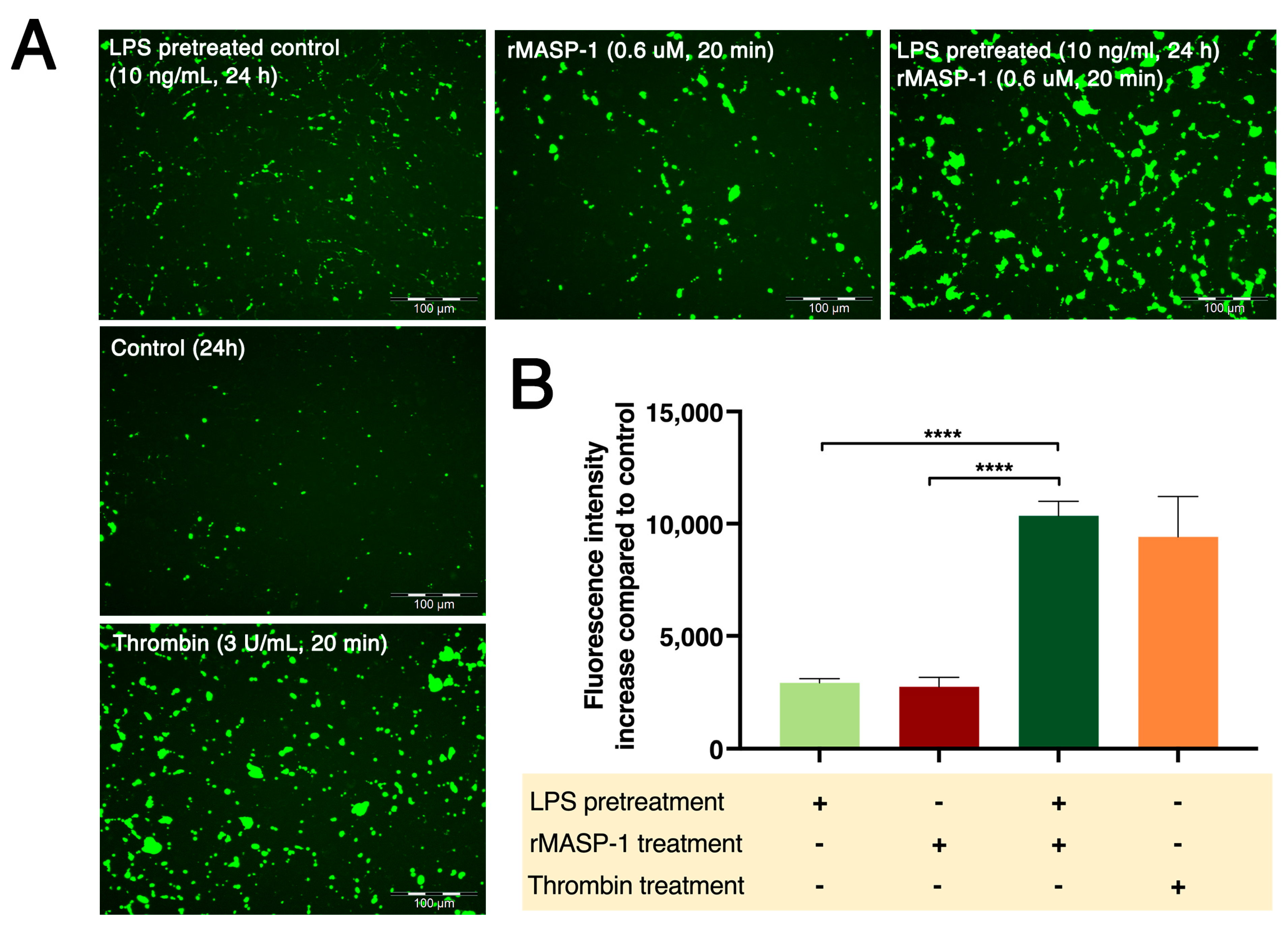Ijms 24 09181 g006 Ijms 24 09181 g006