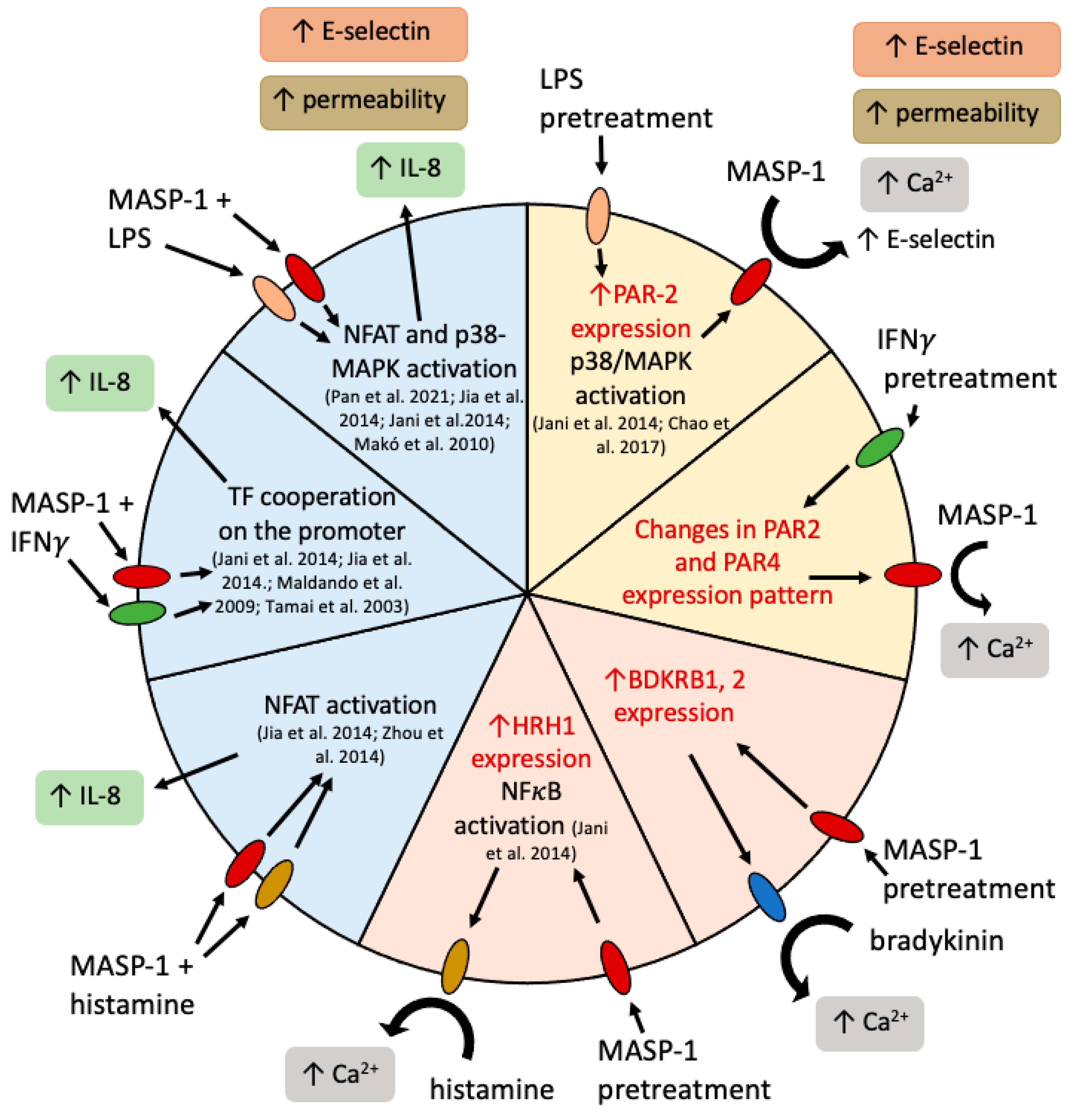 Ijms 24 09181 g008 Ijms 24 09181 g008