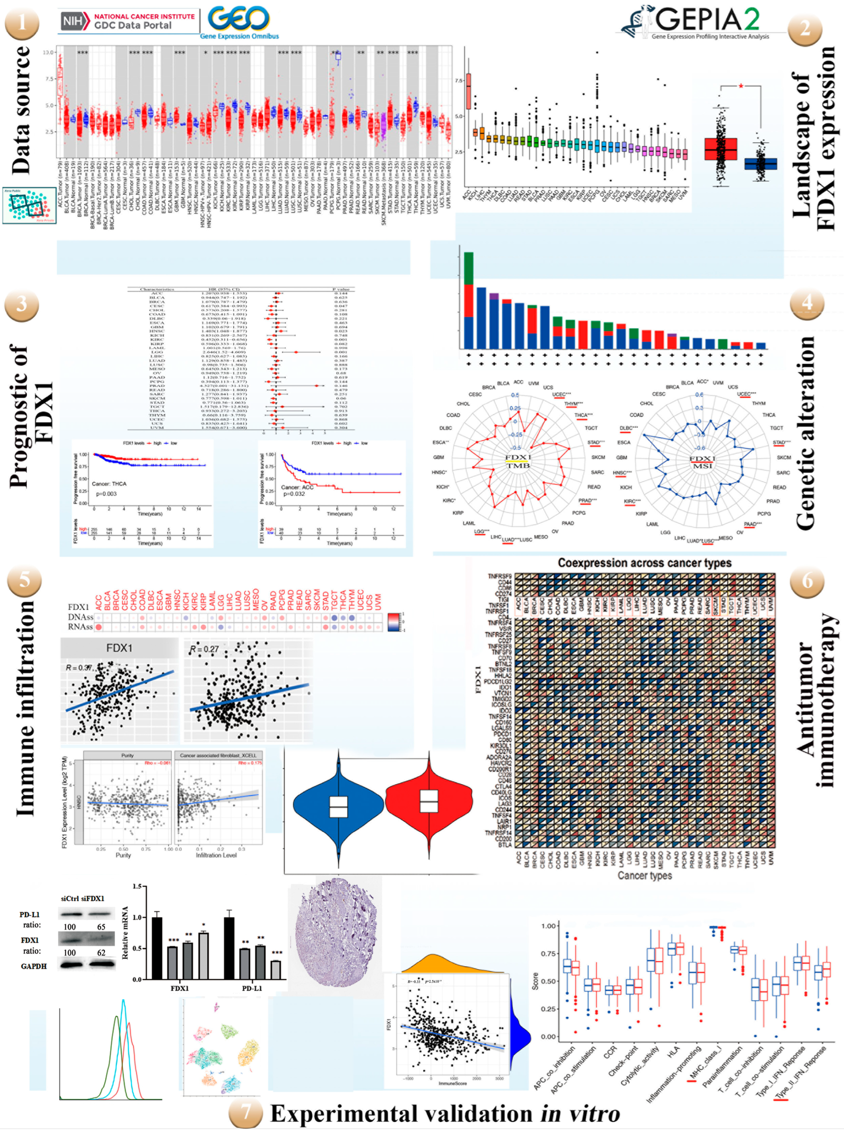 Ijms 24 09182 g001 Ijms 24 09182 g001