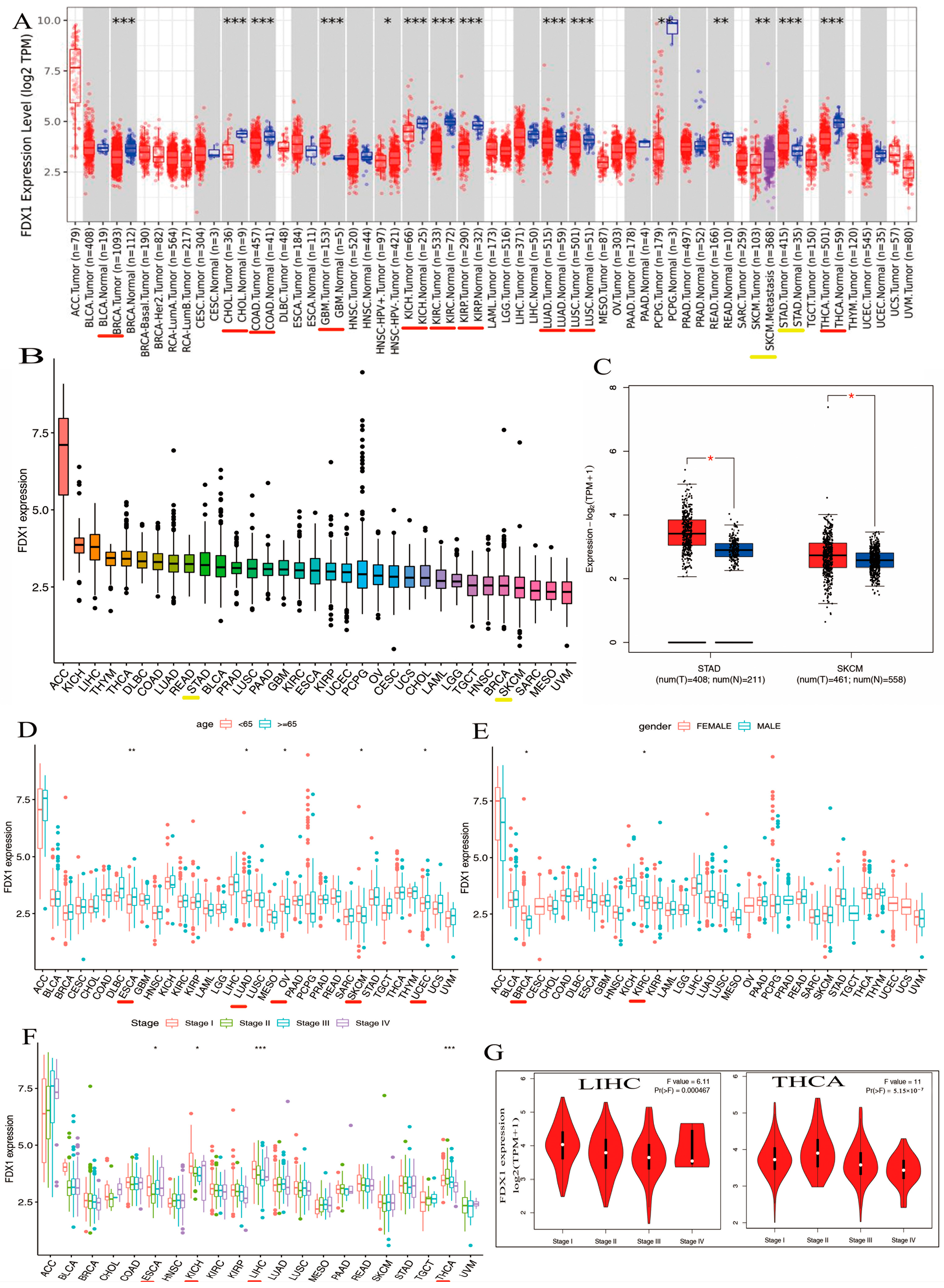 Ijms 24 09182 g002 Ijms 24 09182 g002