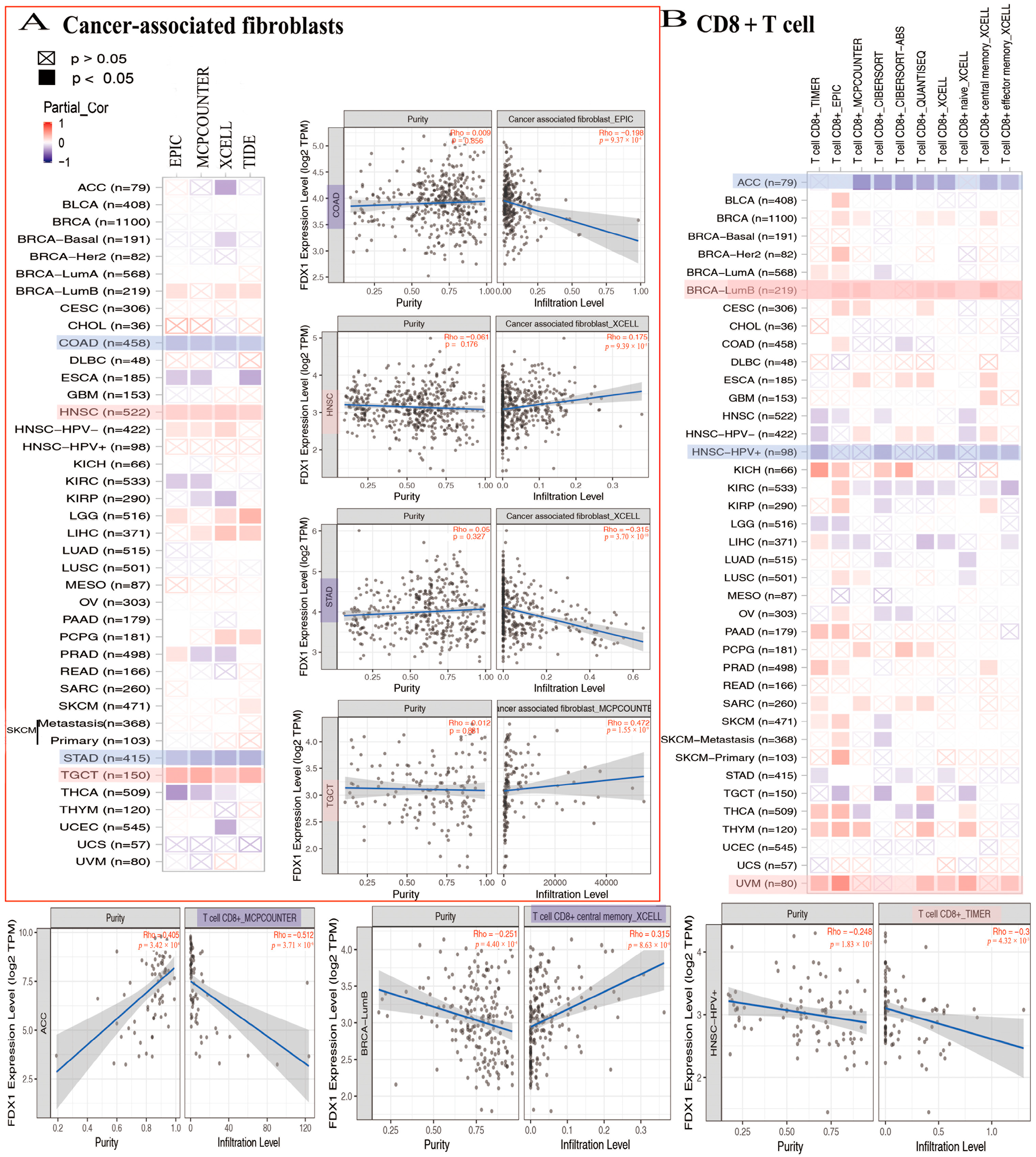 Ijms 24 09182 g007 Ijms 24 09182 g007