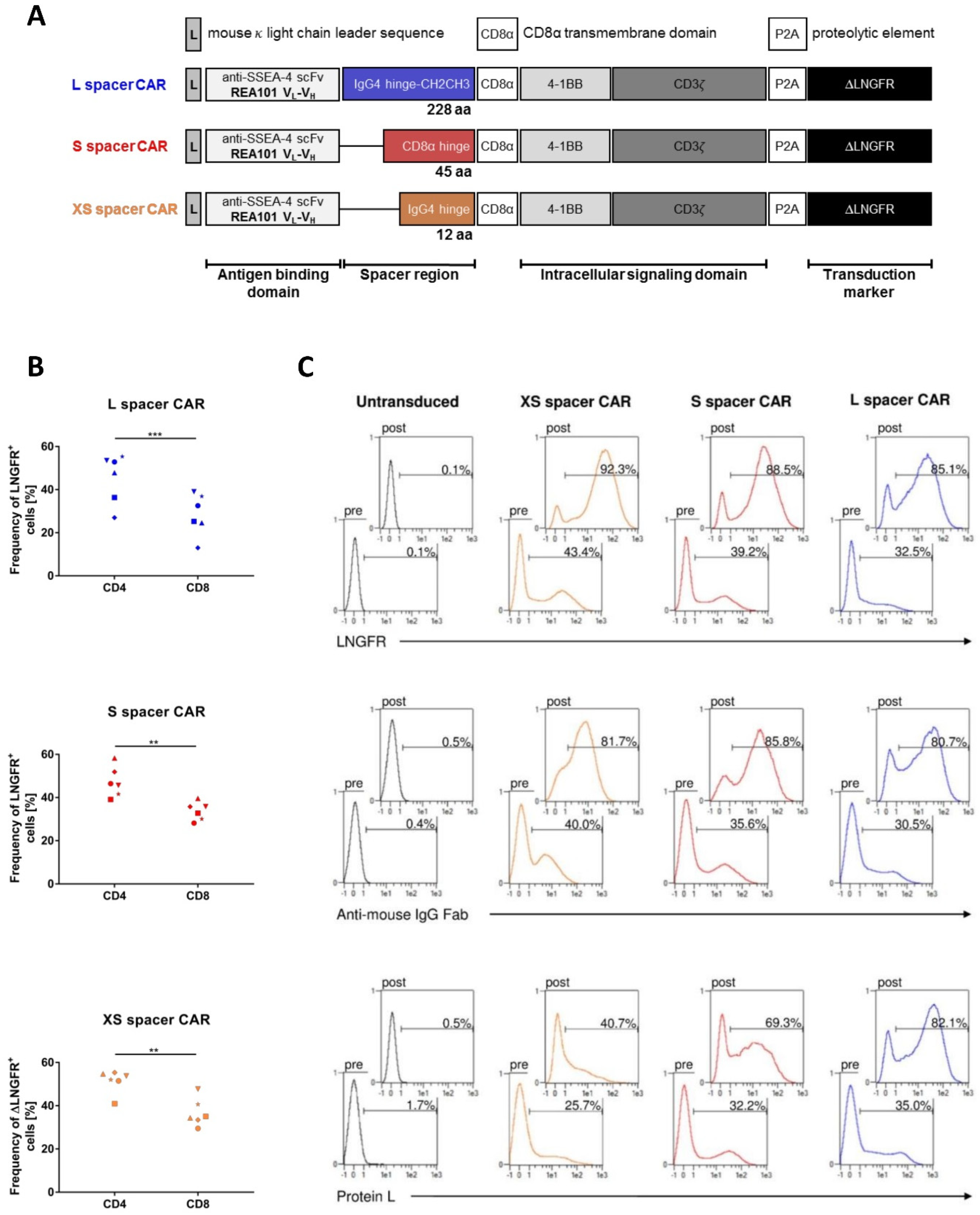 Ijms 24 09184 g001 Ijms 24 09184 g001