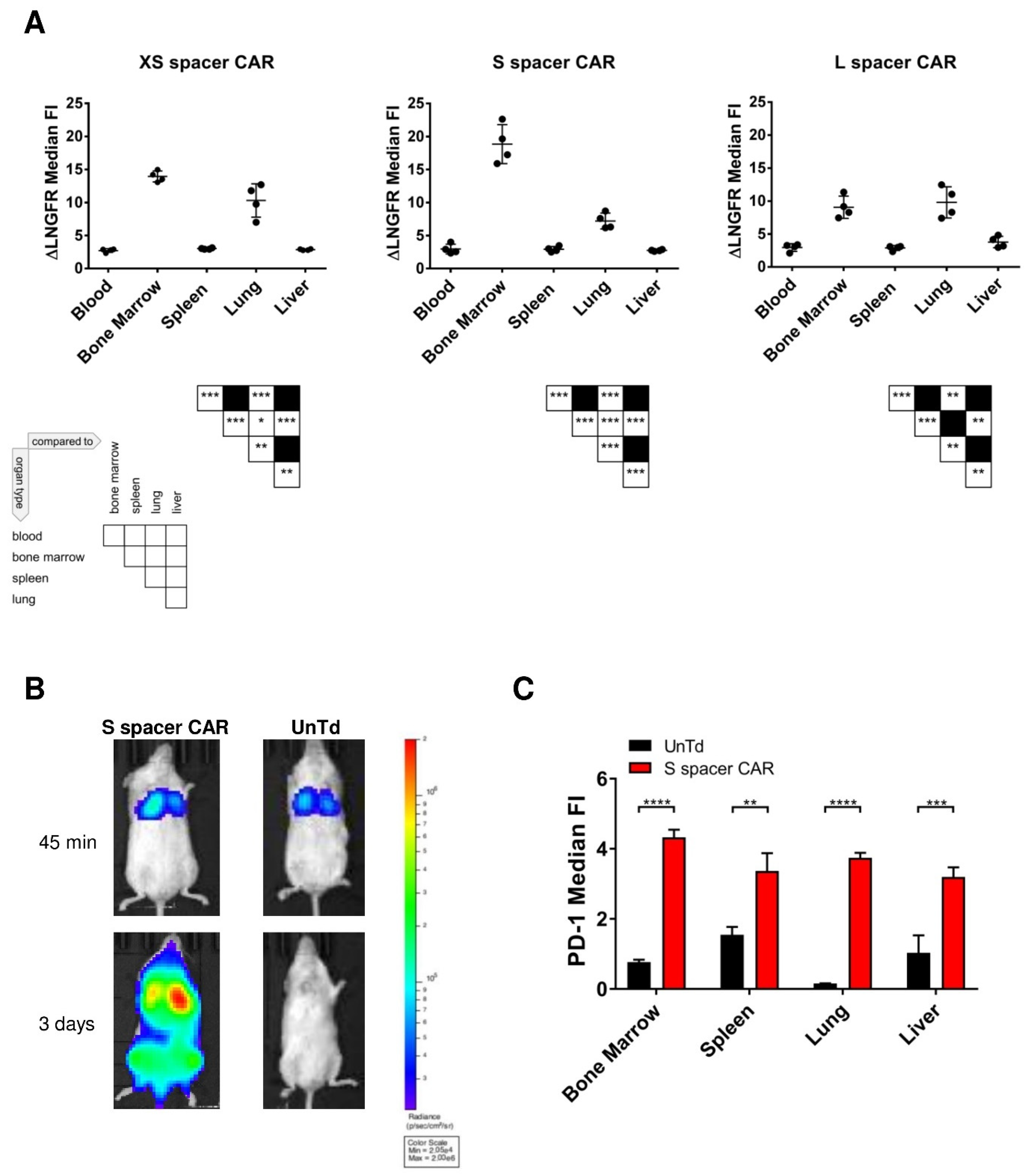 Ijms 24 09184 g005 Ijms 24 09184 g005