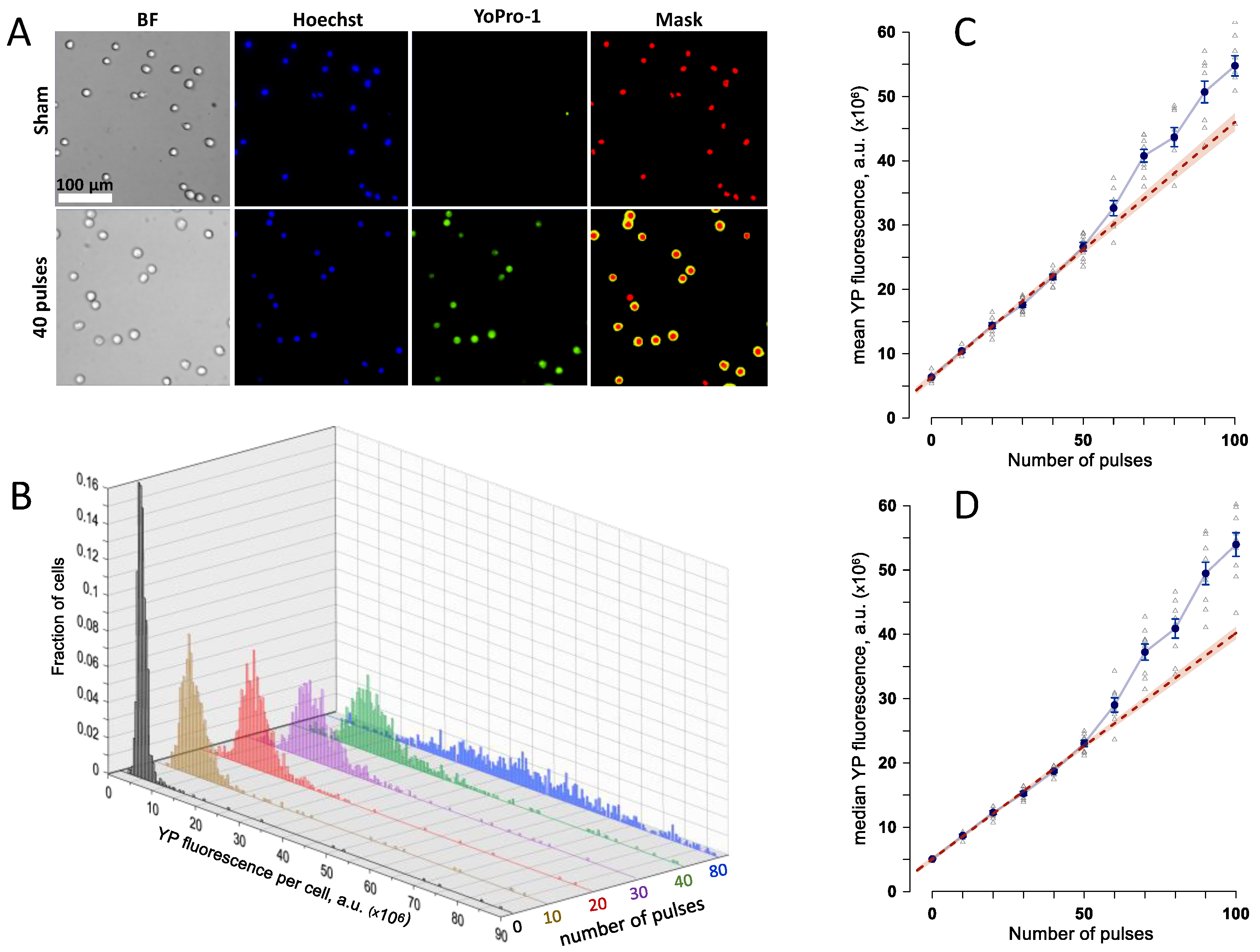 Ijms 24 09191 g001 Ijms 24 09191 g001