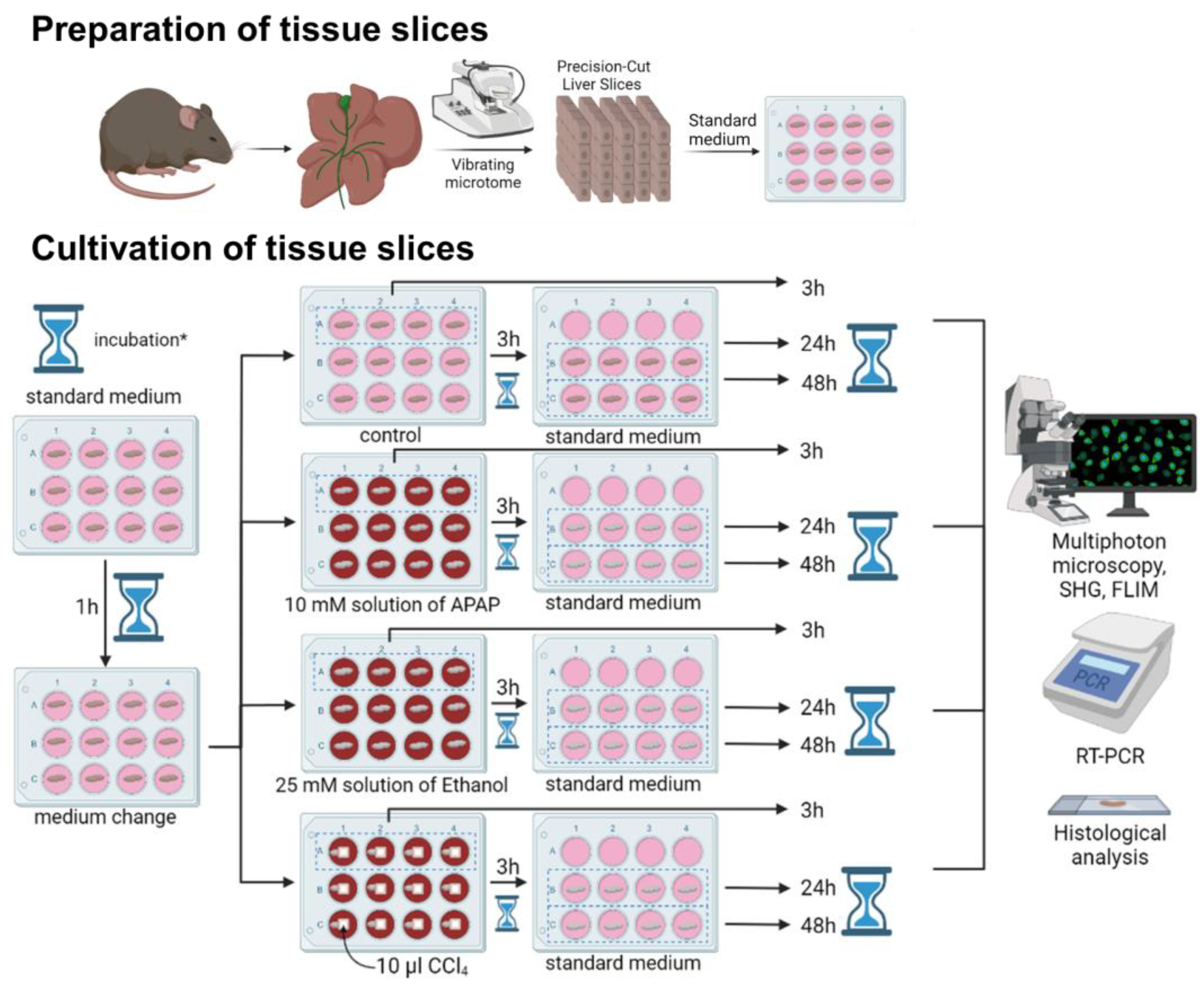 Ijms 24 09195 g001 Ijms 24 09195 g001