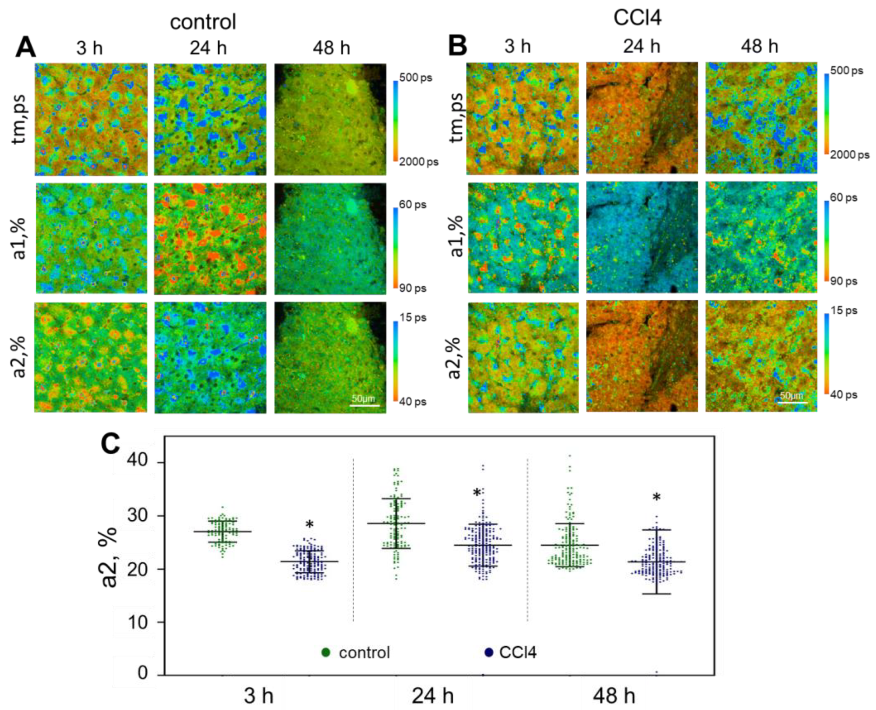 Ijms 24 09195 g004 Ijms 24 09195 g004