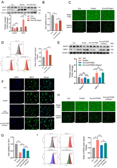 フィギュア いろいろ！！ Amazon.co.jp: TAMASHII NATIONS S.H.フィギュアーツ 仮面