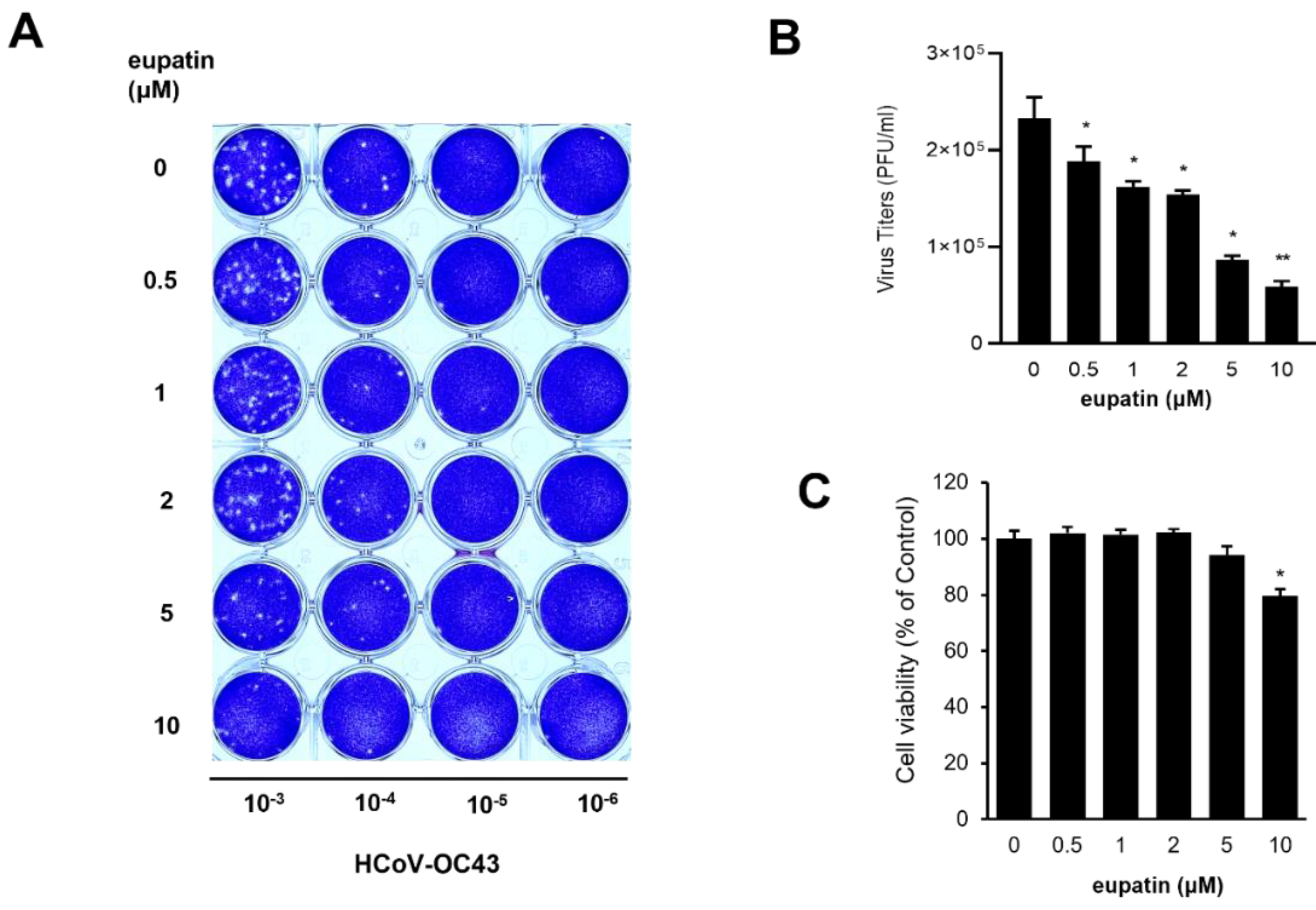 Ijms 24 09211 g003 Ijms 24 09211 g003