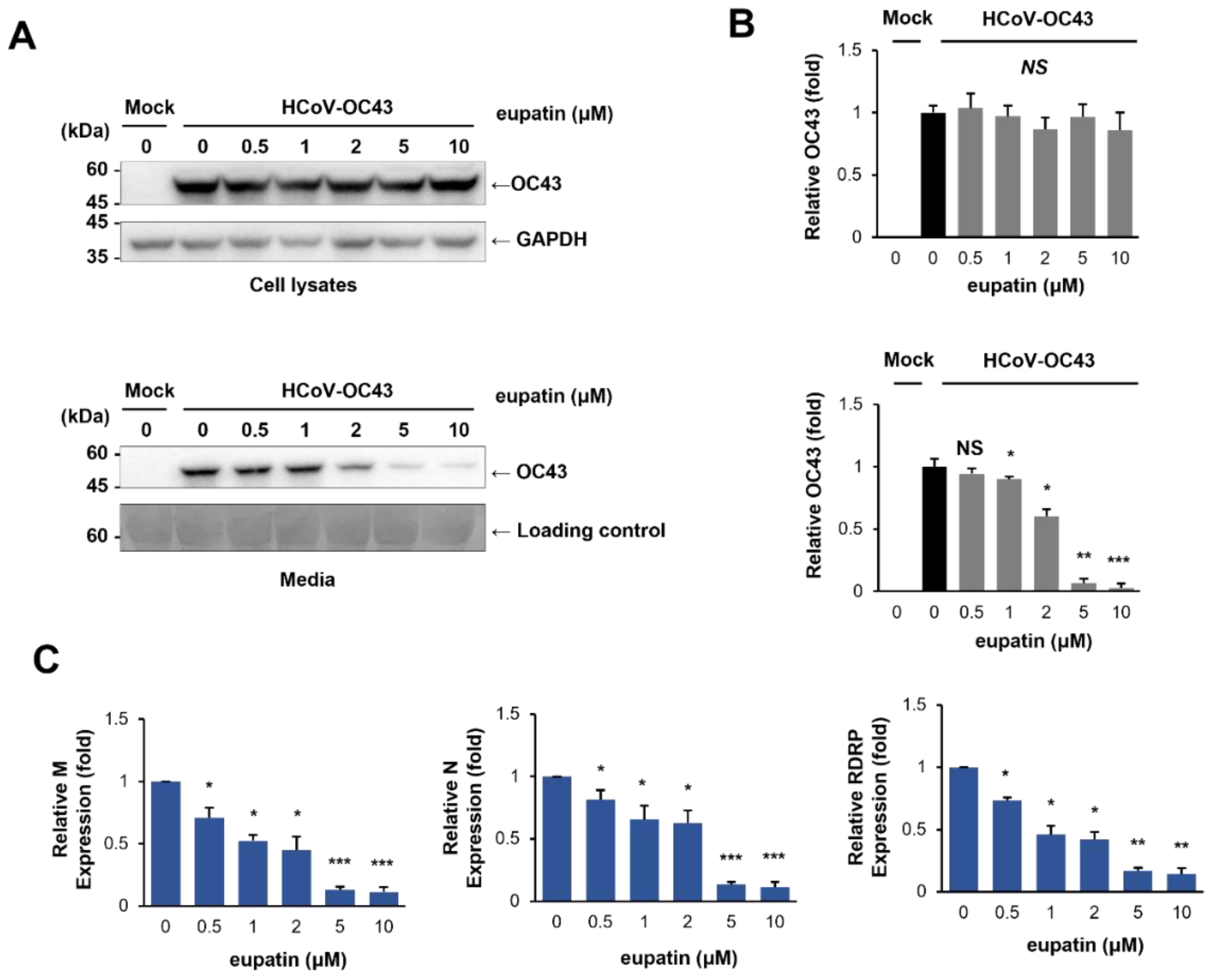 Ijms 24 09211 g004 Ijms 24 09211 g004