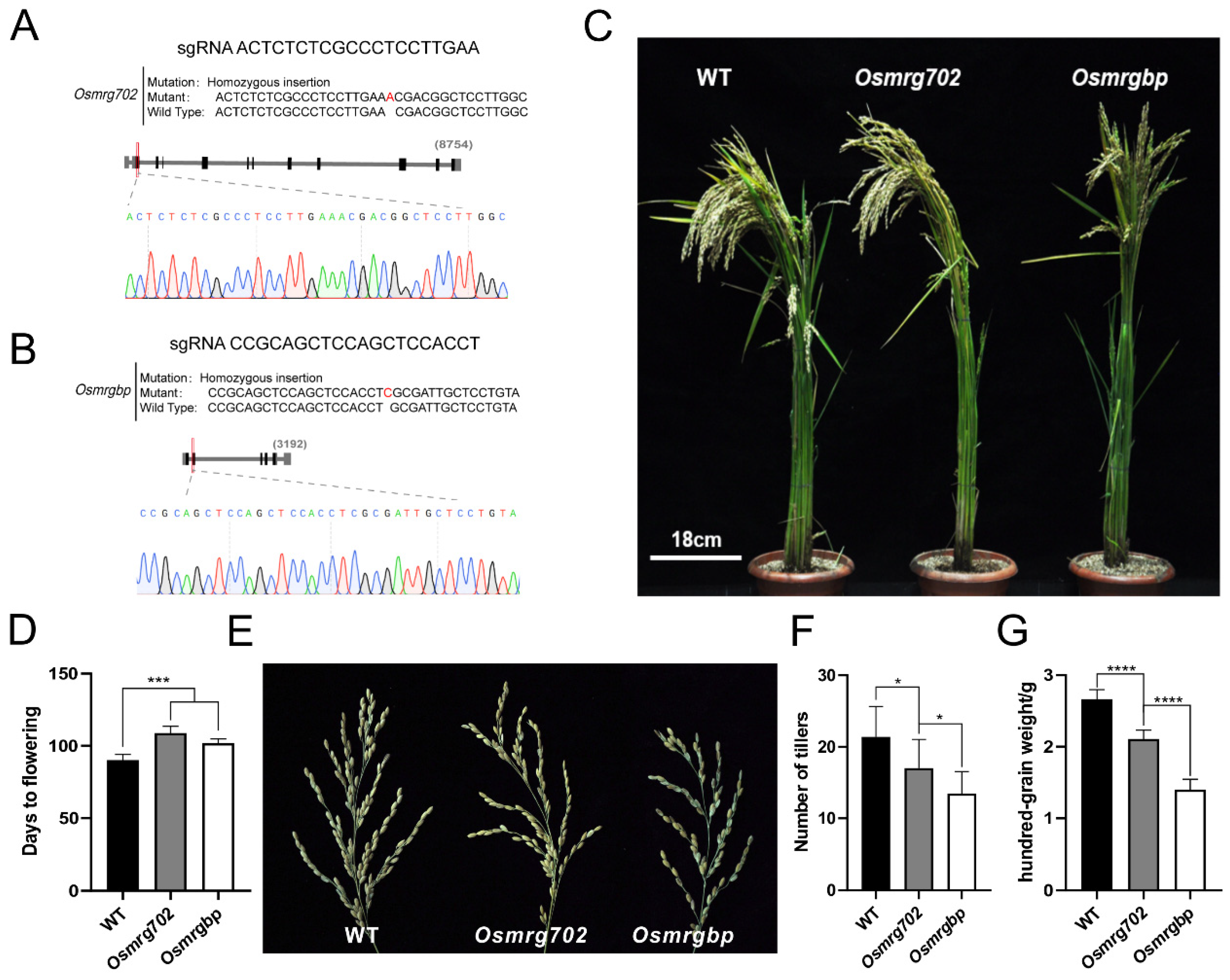 Ijms 24 09219 g002 Ijms 24 09219 g002