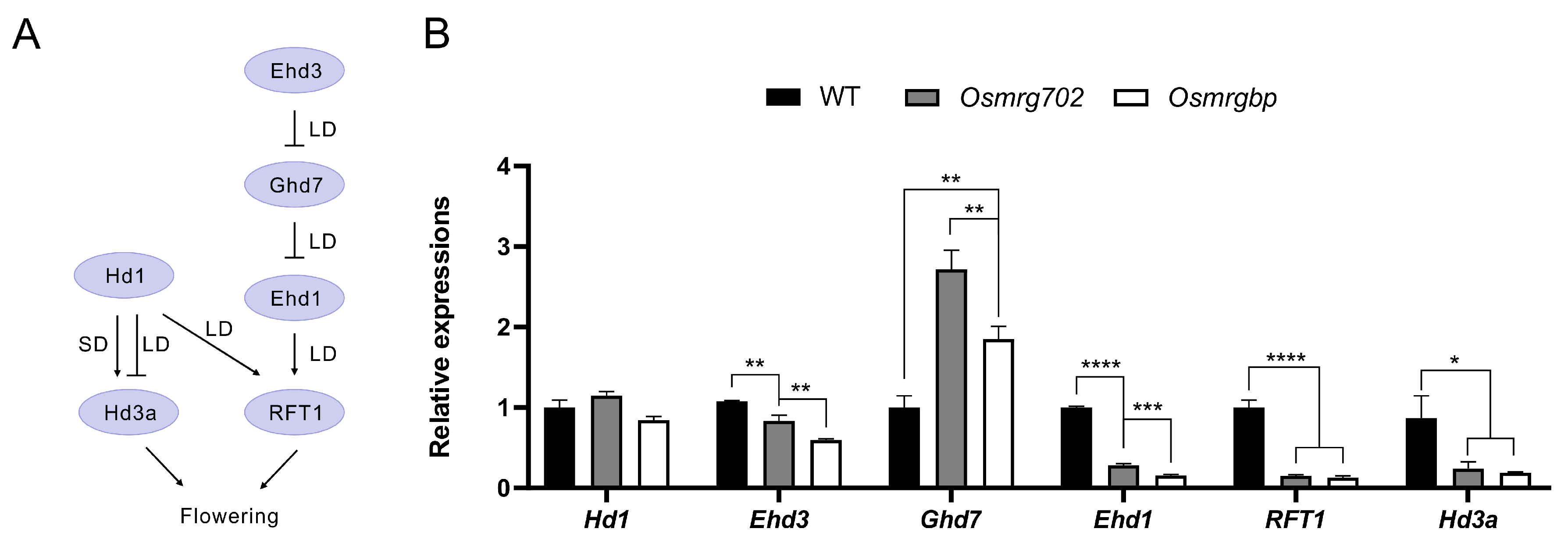 Ijms 24 09219 g003 Ijms 24 09219 g003