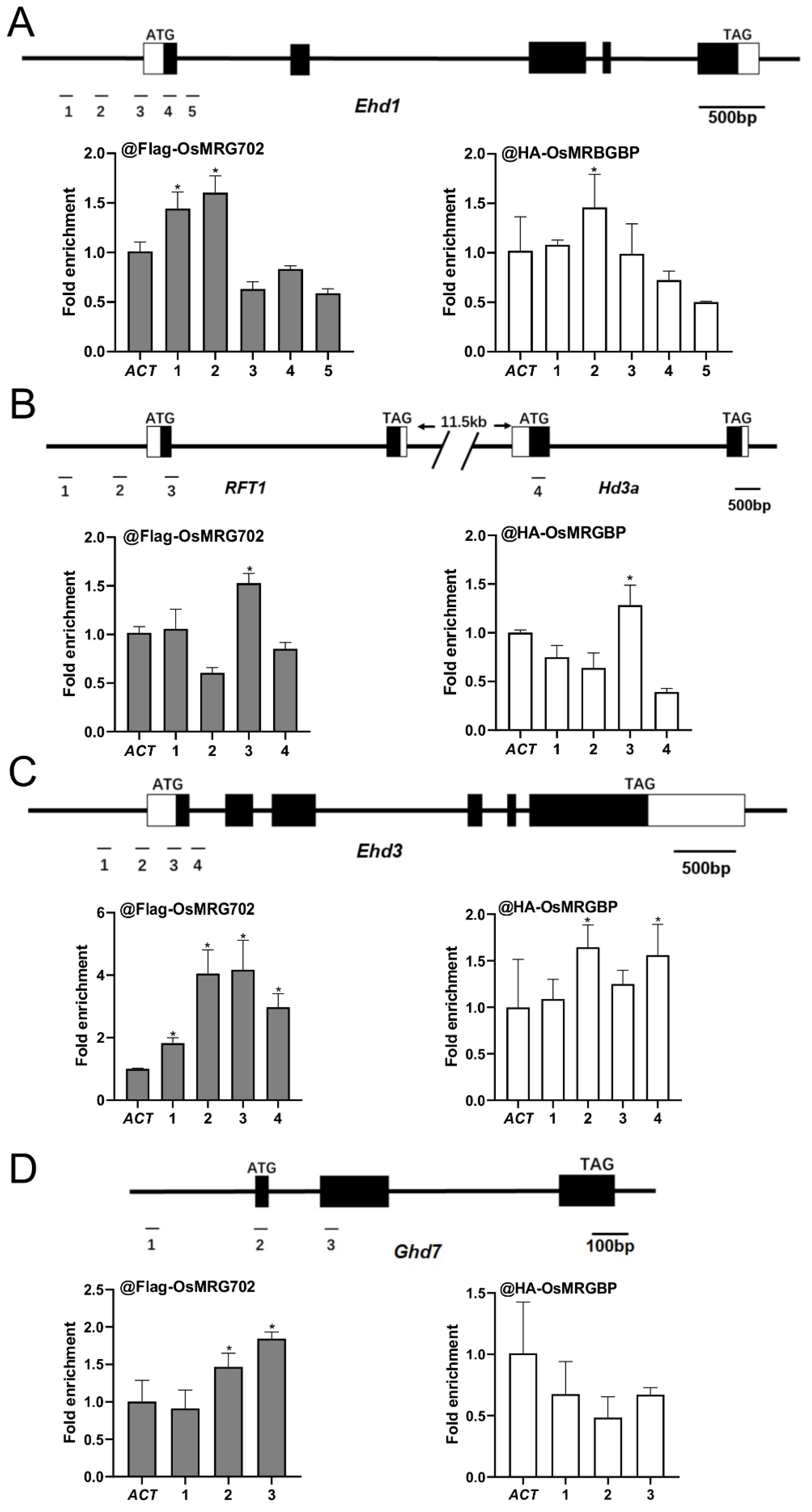 Ijms 24 09219 g004 Ijms 24 09219 g004