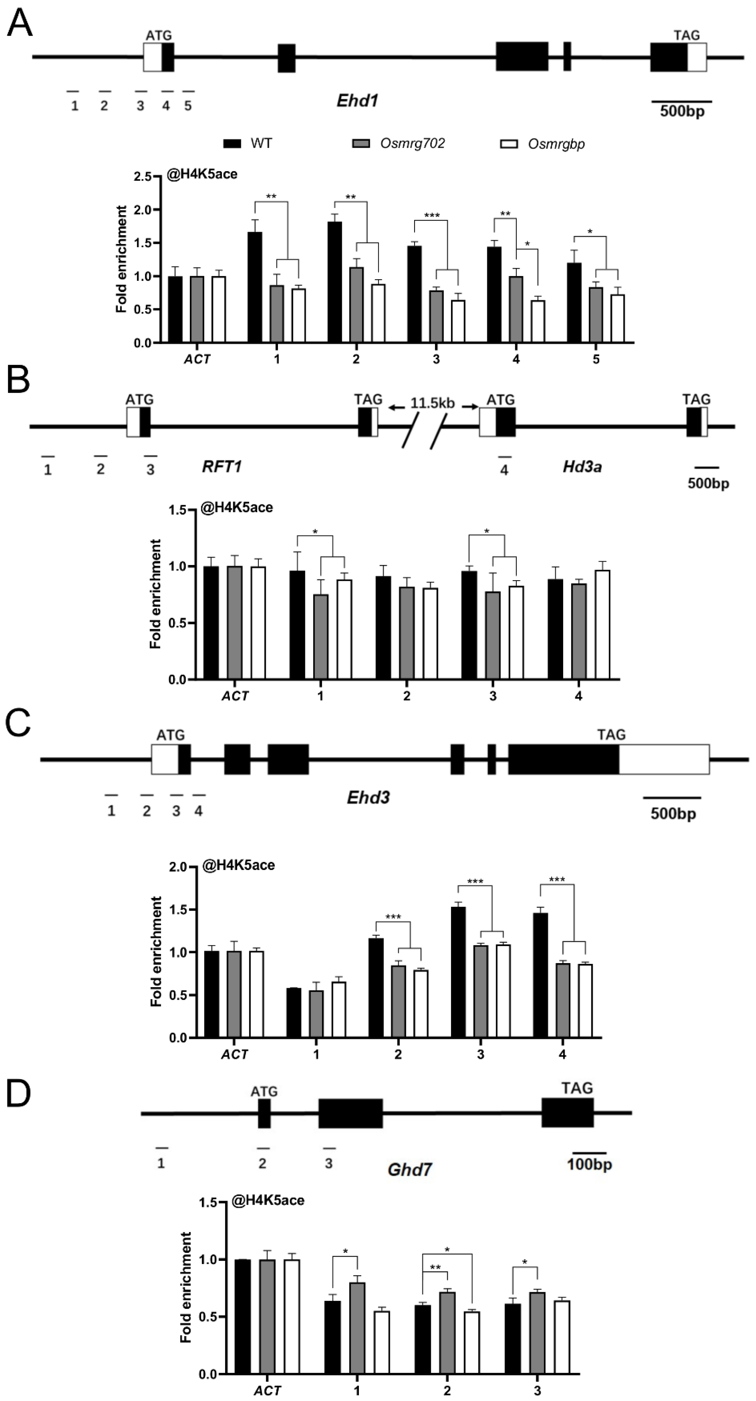 Ijms 24 09219 g005 Ijms 24 09219 g005