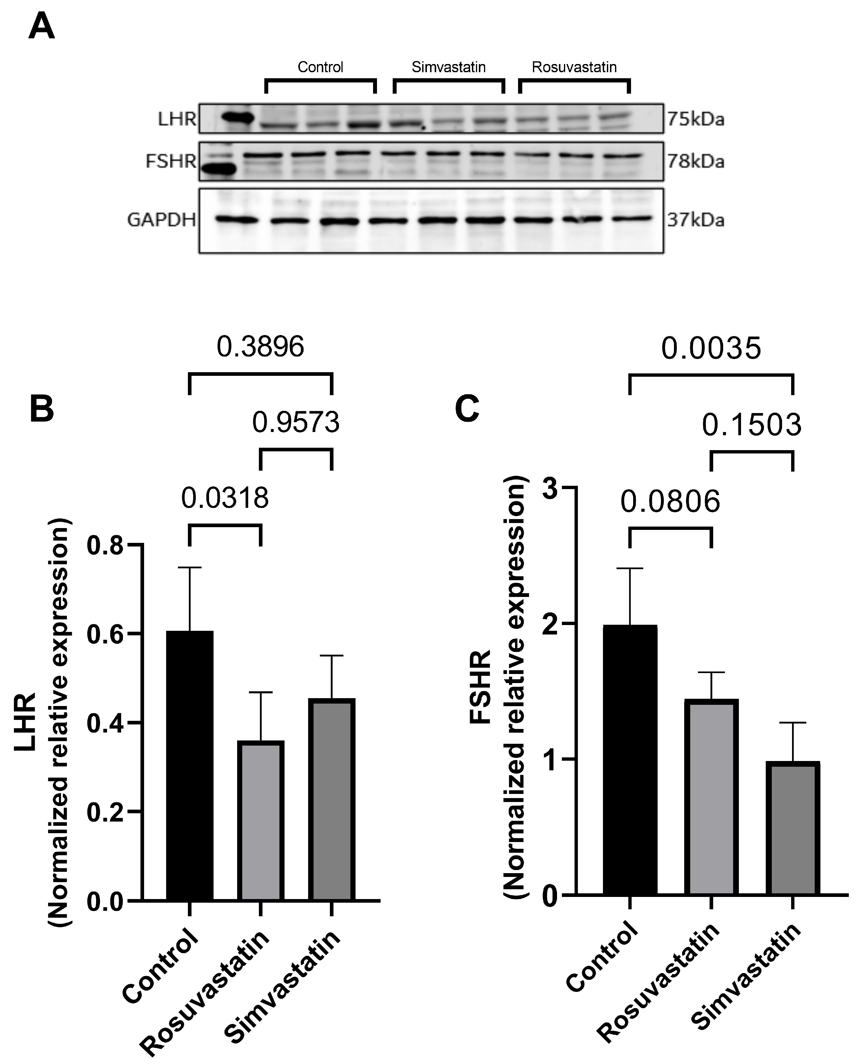 Ijms 24 09221 g004 Ijms 24 09221 g004