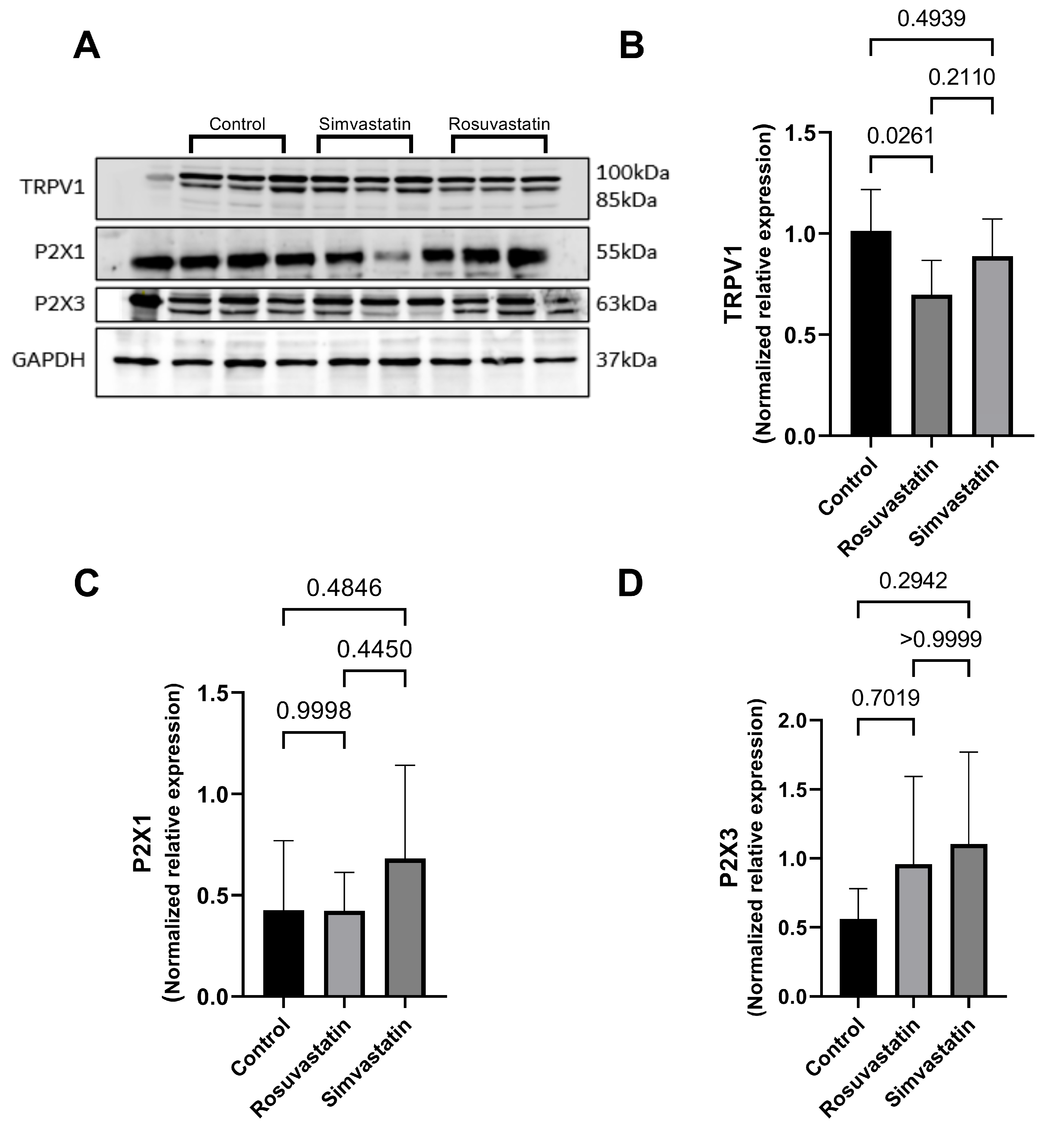 Ijms 24 09221 g006 Ijms 24 09221 g006