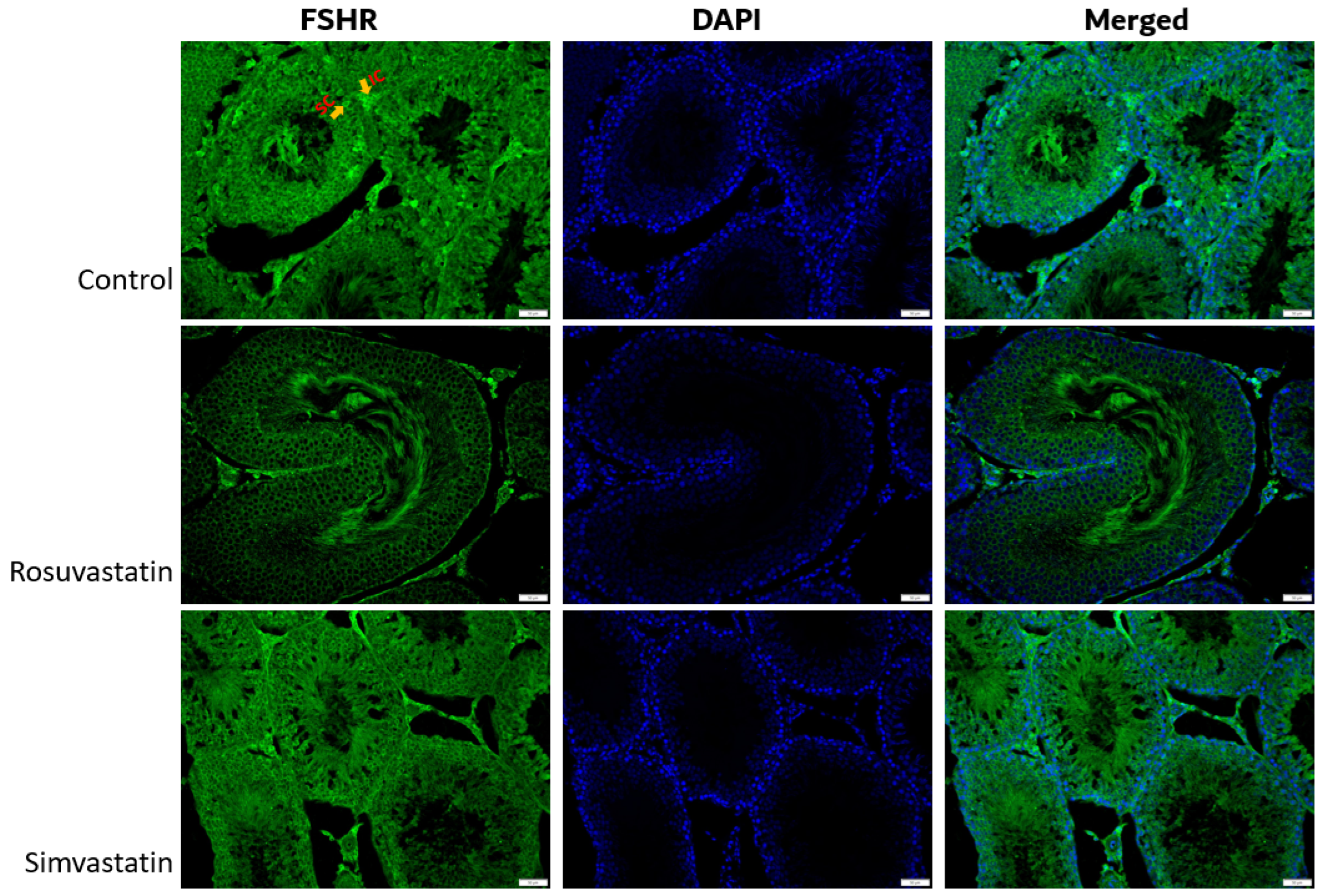 Ijms 24 09221 g009 Ijms 24 09221 g009