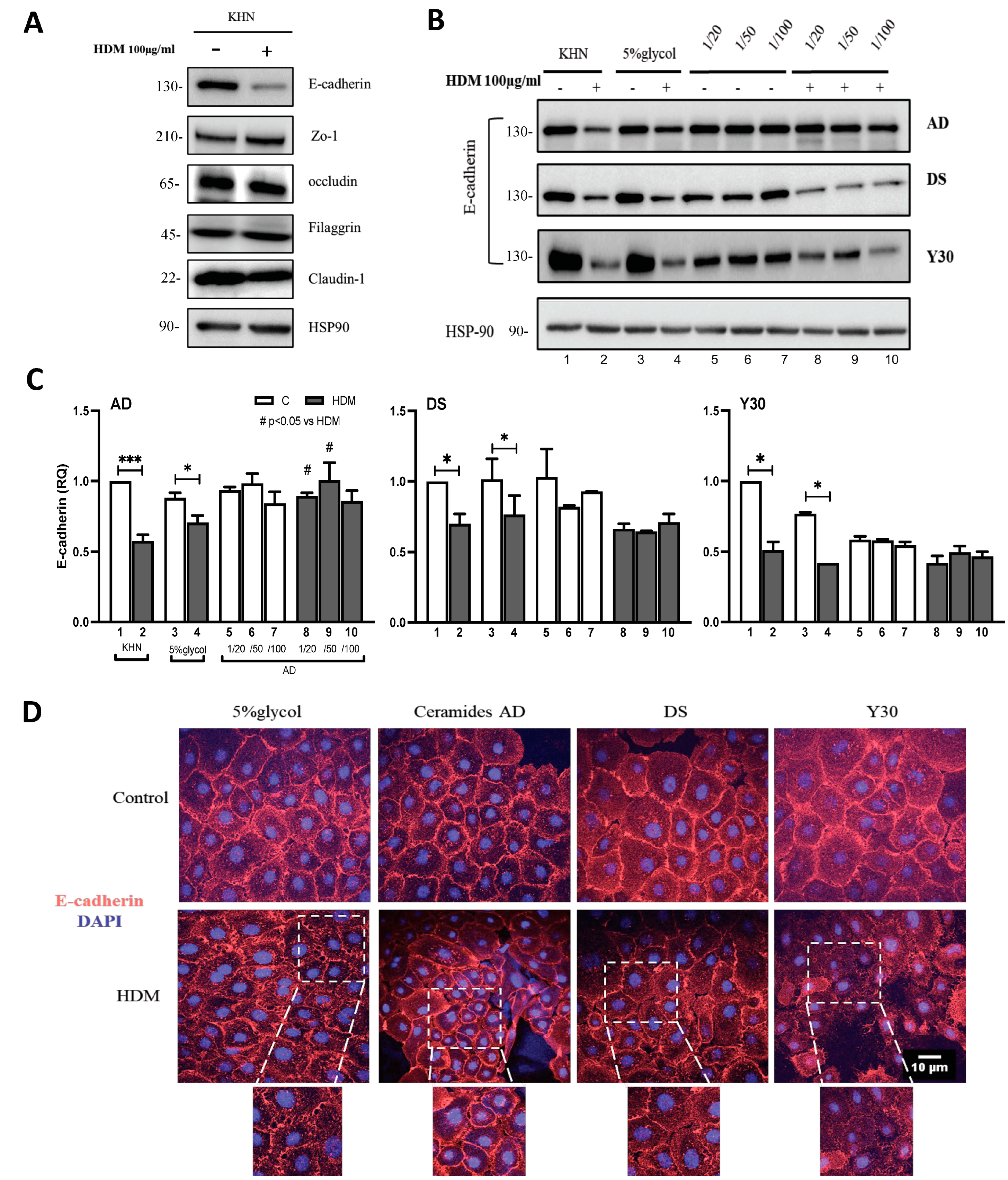 Ijms 24 09234 g001 Ijms 24 09234 g001