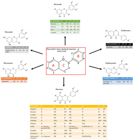 IJMS Free FullText Effects of Flavonoids on Cancer, Cardiovascular