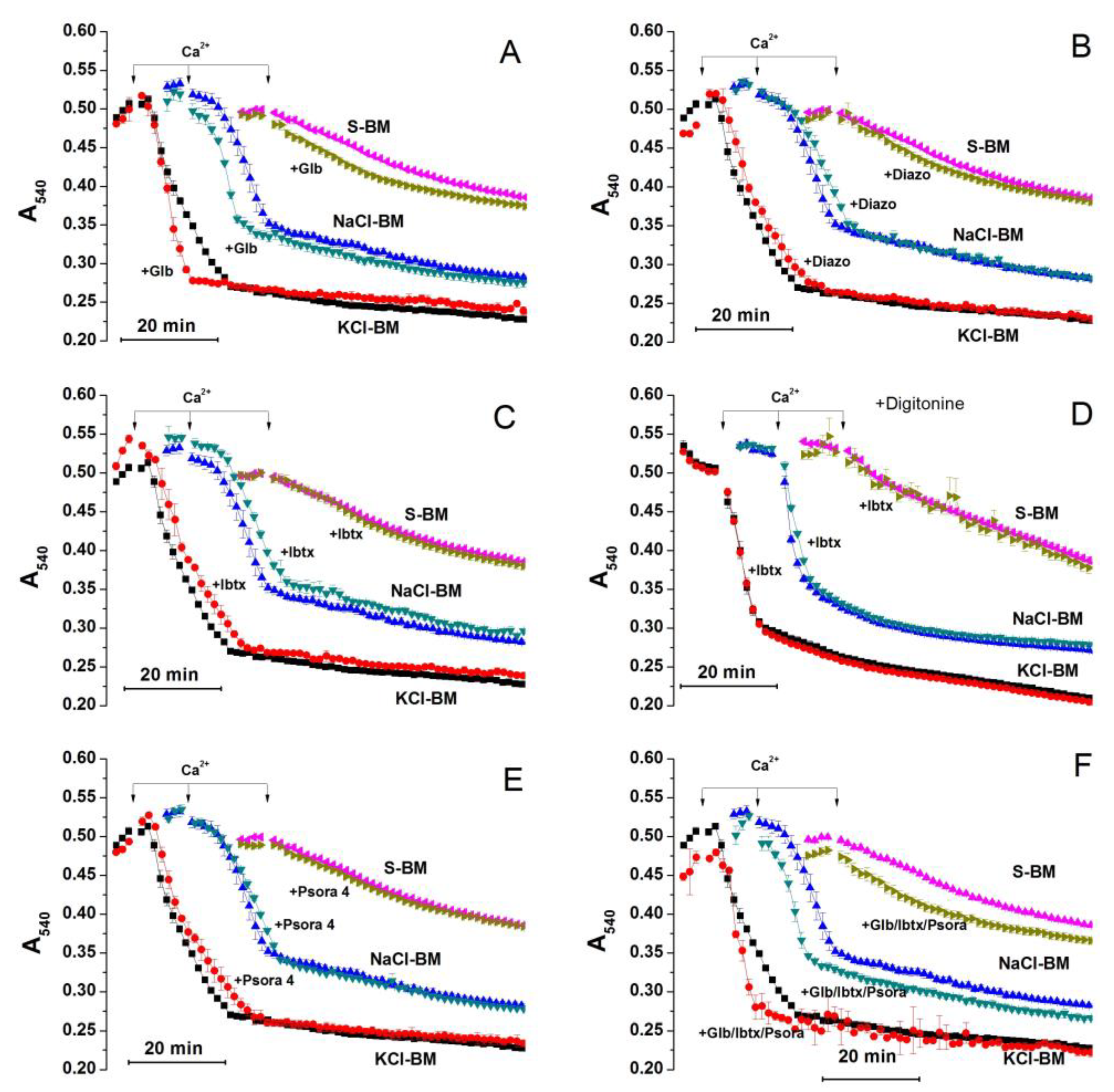 Ijms 24 09237 g004 Ijms 24 09237 g004