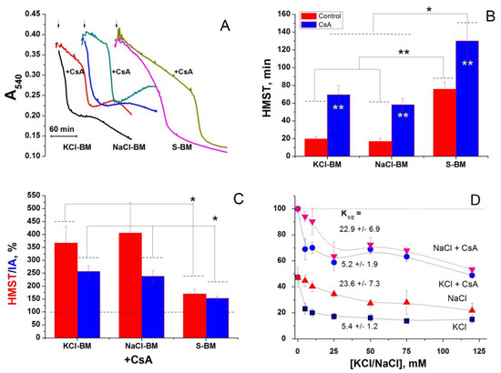 IJMS | Free Full-Text | Regulation of Mitochondrial Permeability ...