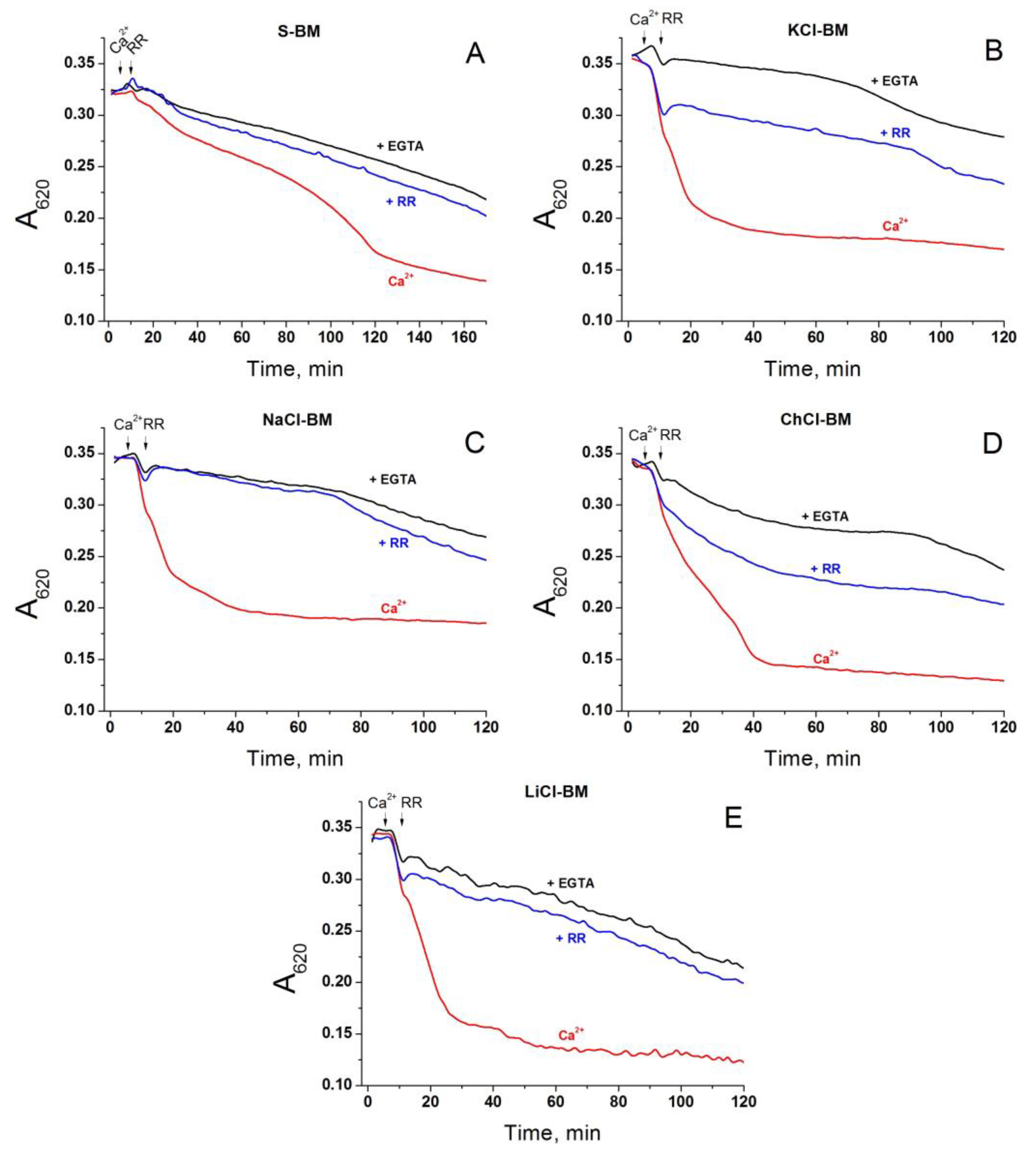 Ijms 24 09237 g006 Ijms 24 09237 g006