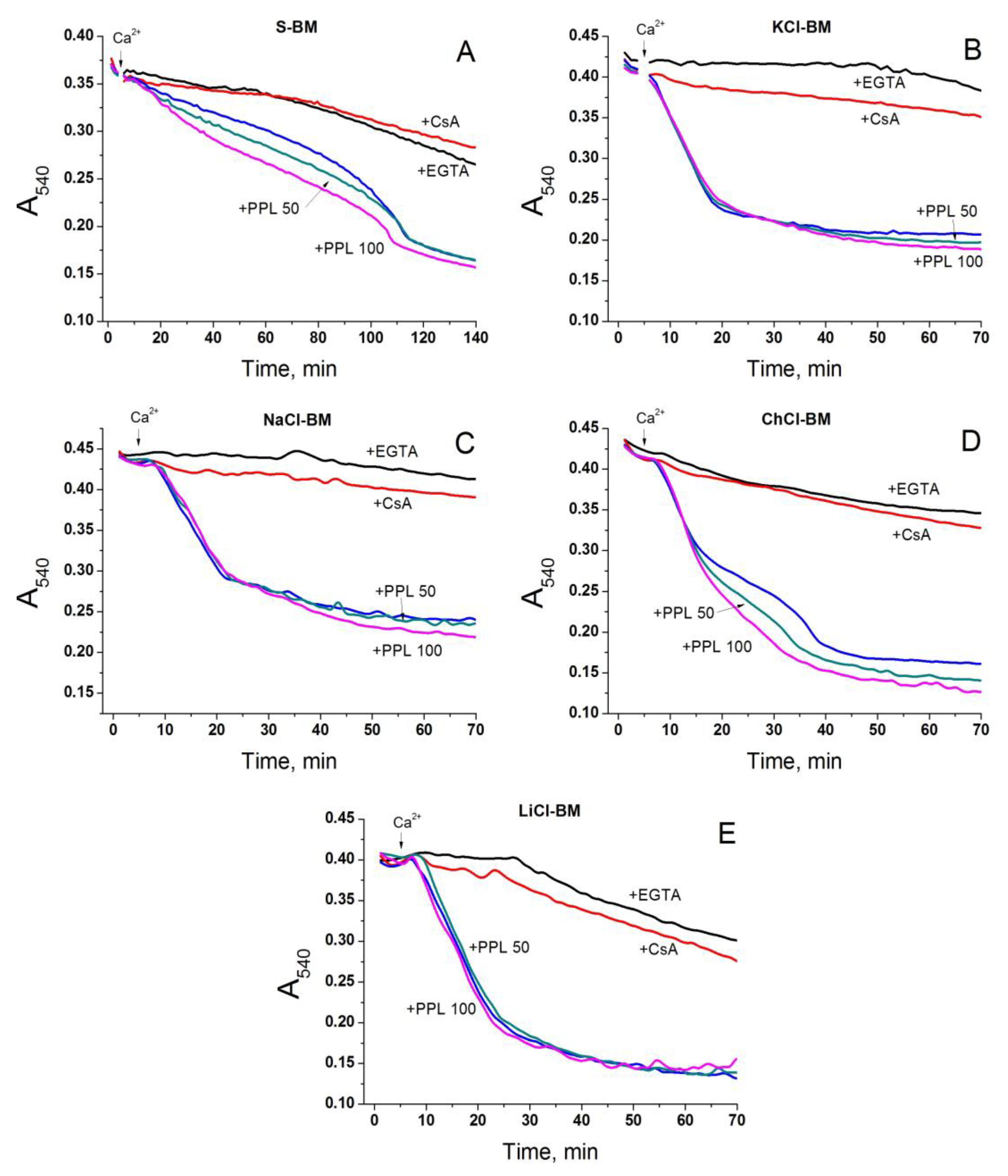 Ijms 24 09237 g008 Ijms 24 09237 g008